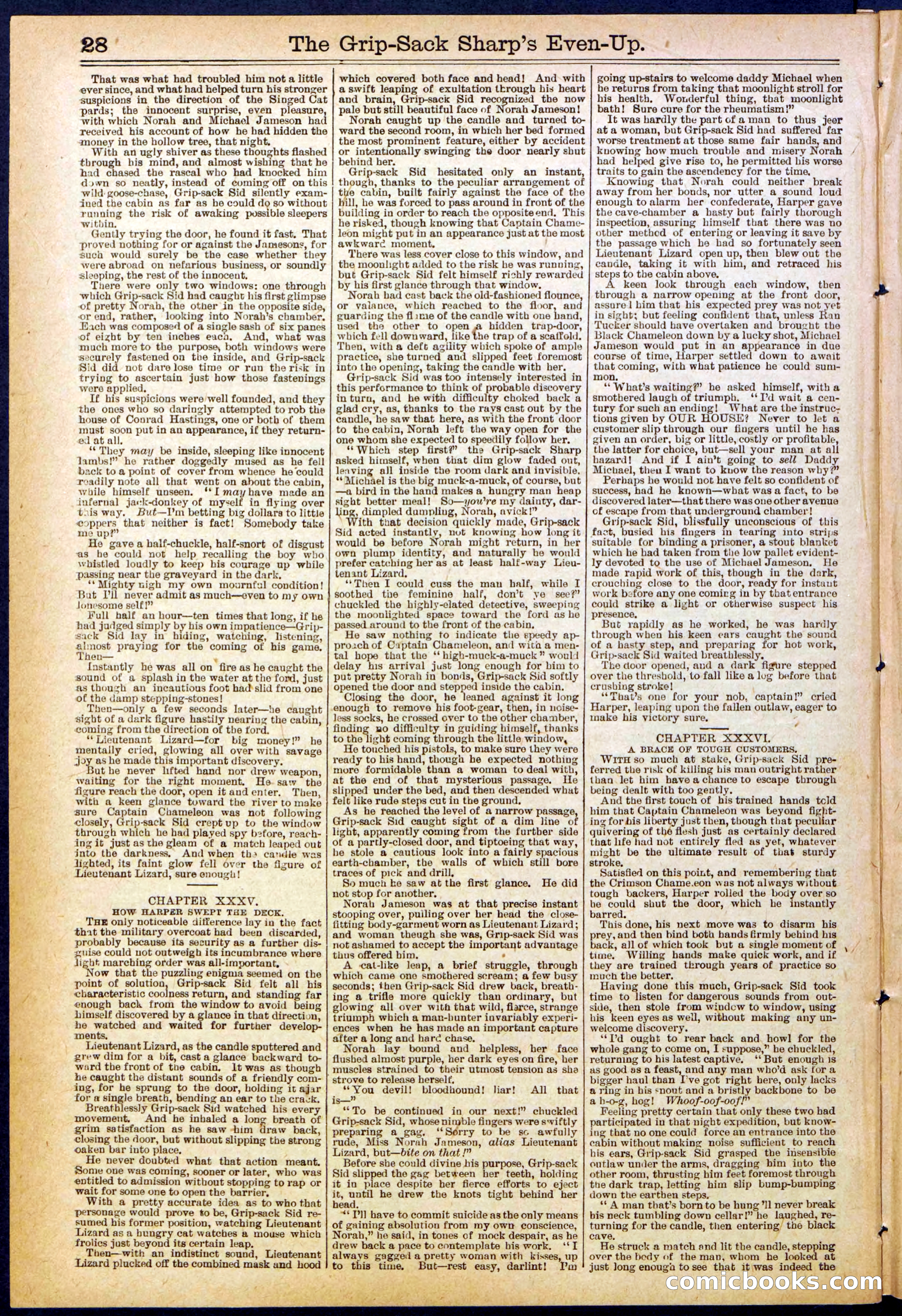 Beadle's New York Dime Library No. 617 — page 28 of 32