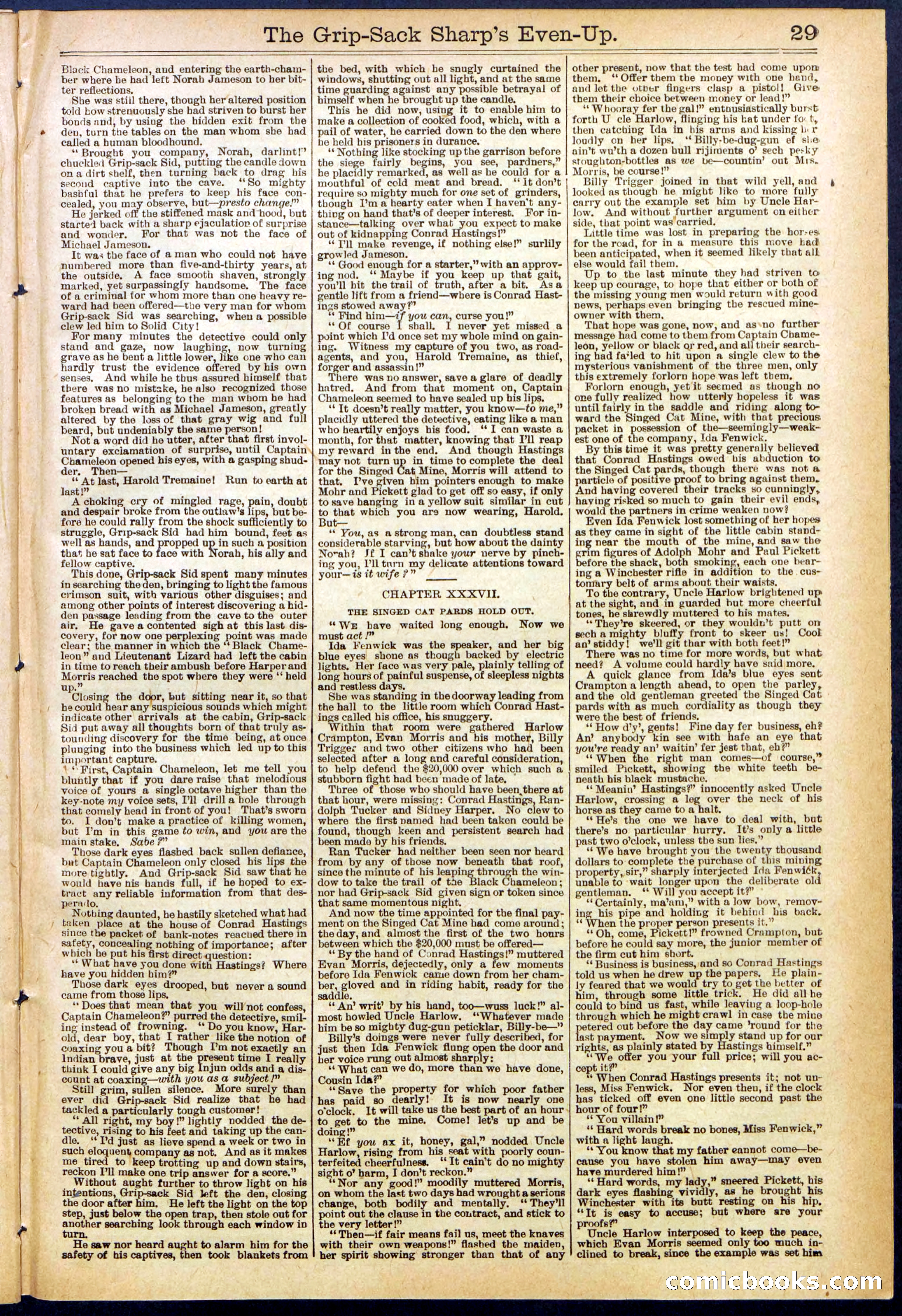 Beadle's New York Dime Library No. 617 — page 29 of 32