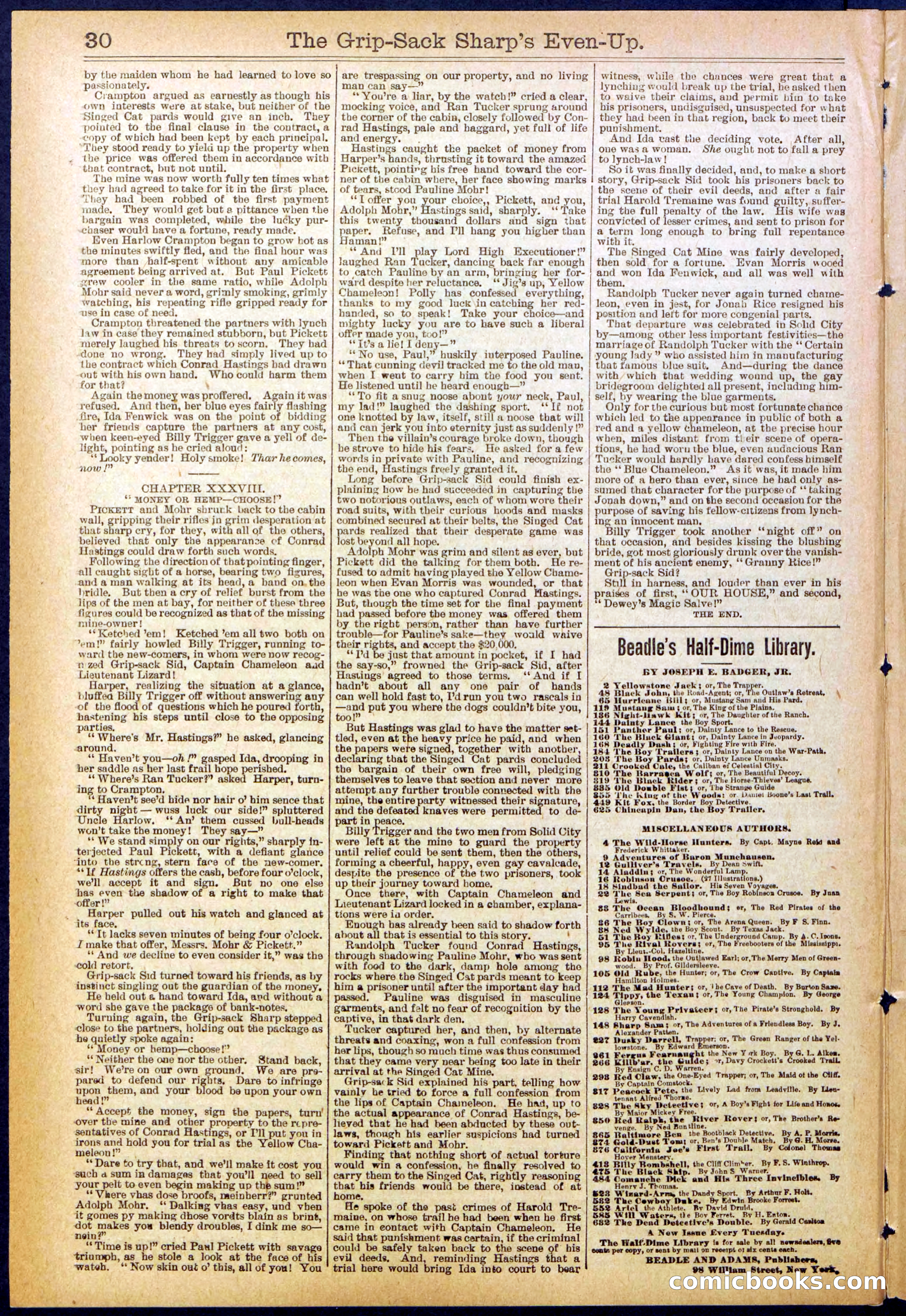 Beadle's New York Dime Library No. 617 — page 30 of 32