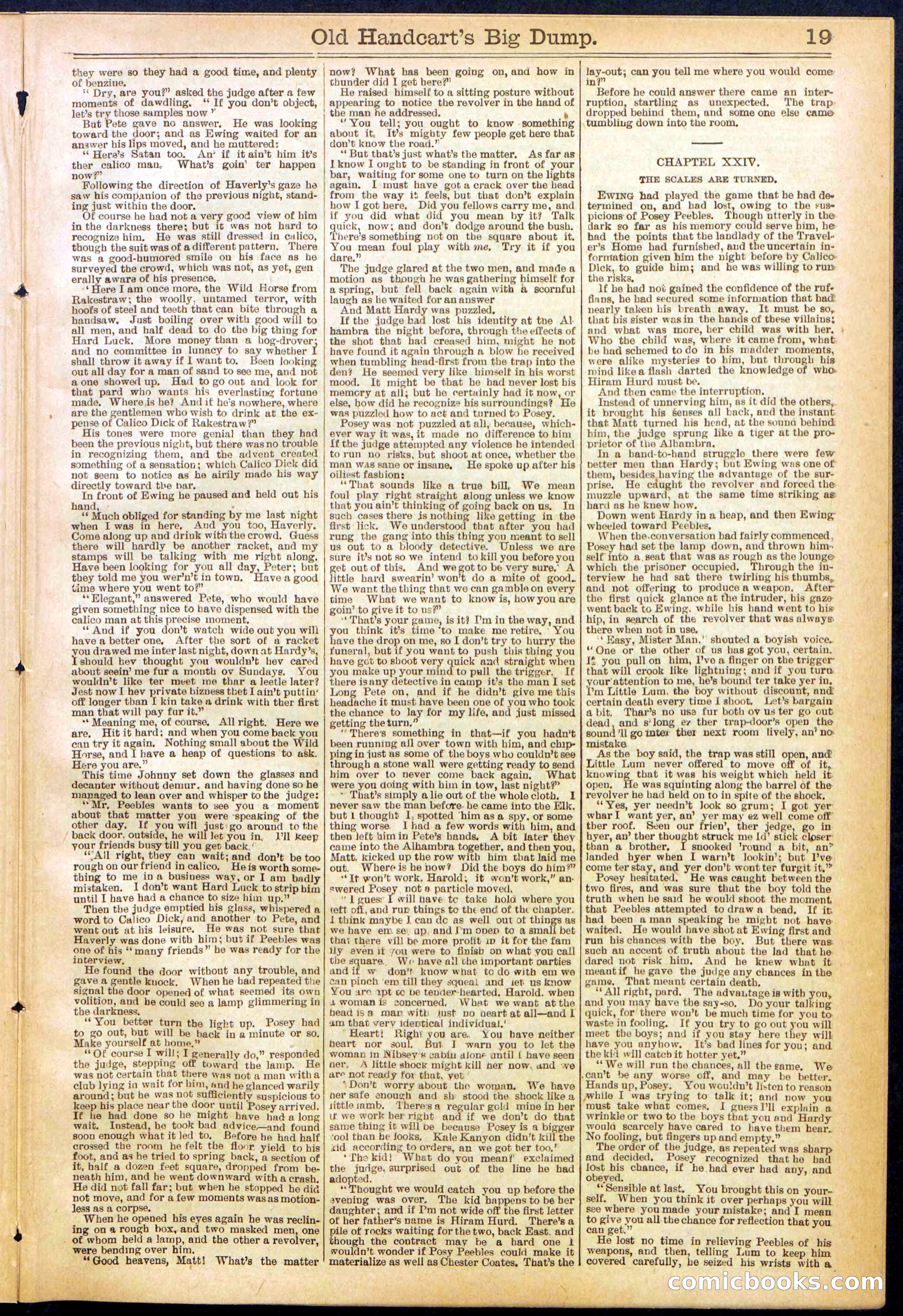 Beadle's New York Dime Library, No. 634 — page 19 of 30