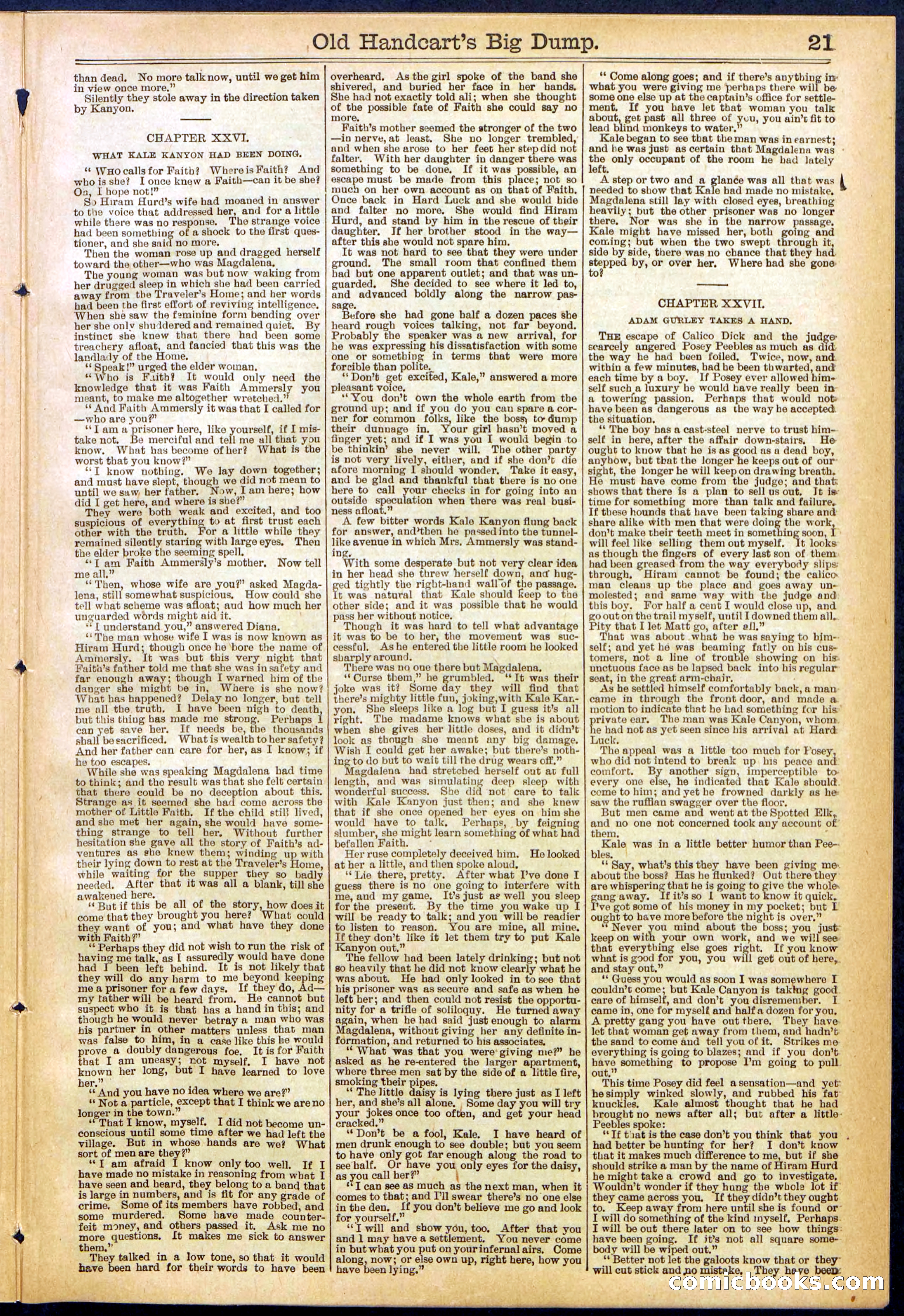 Beadle's New York Dime Library, No. 634 — page 21 of 30