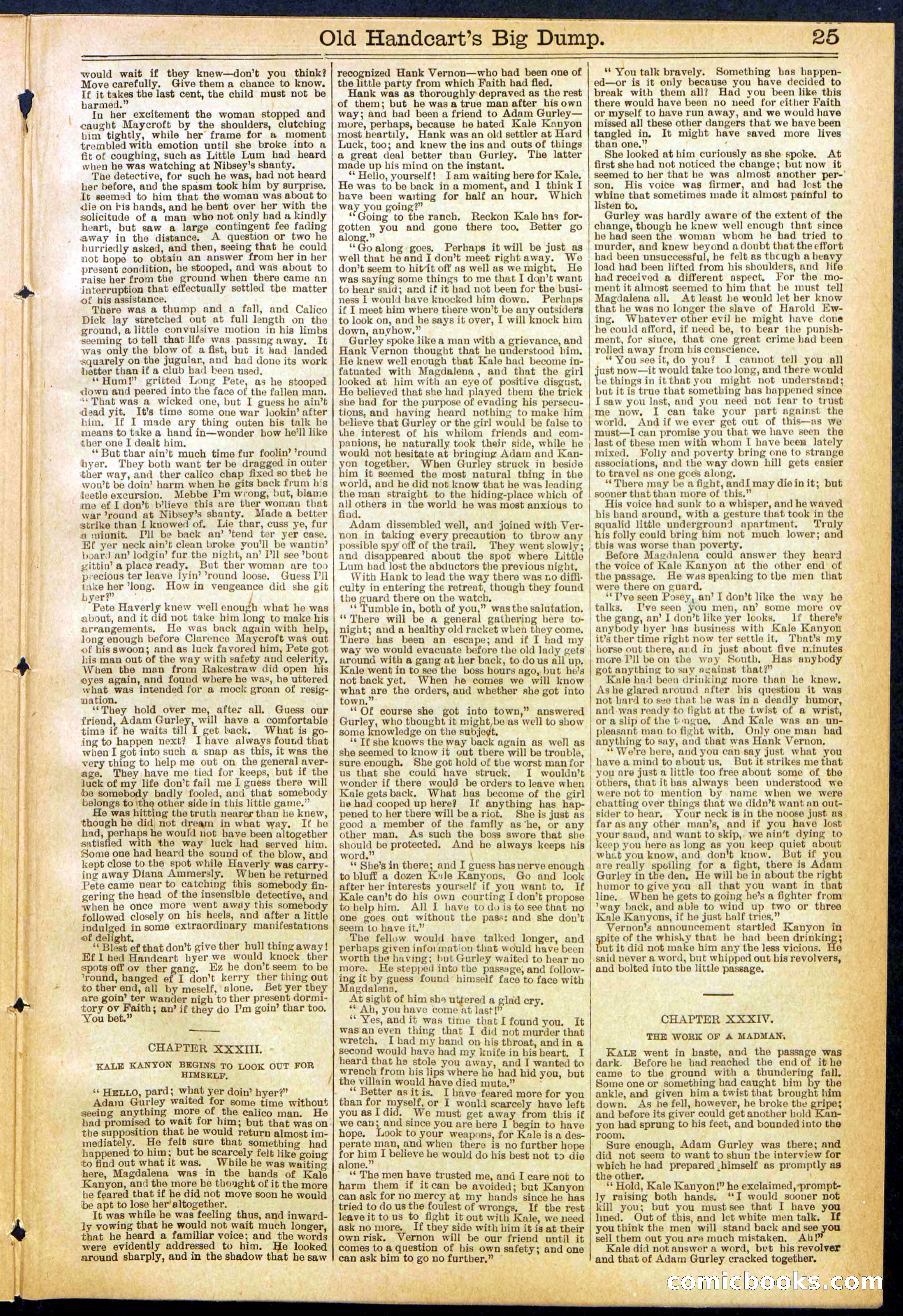 Beadle's New York Dime Library, No. 634 — page 25 of 30