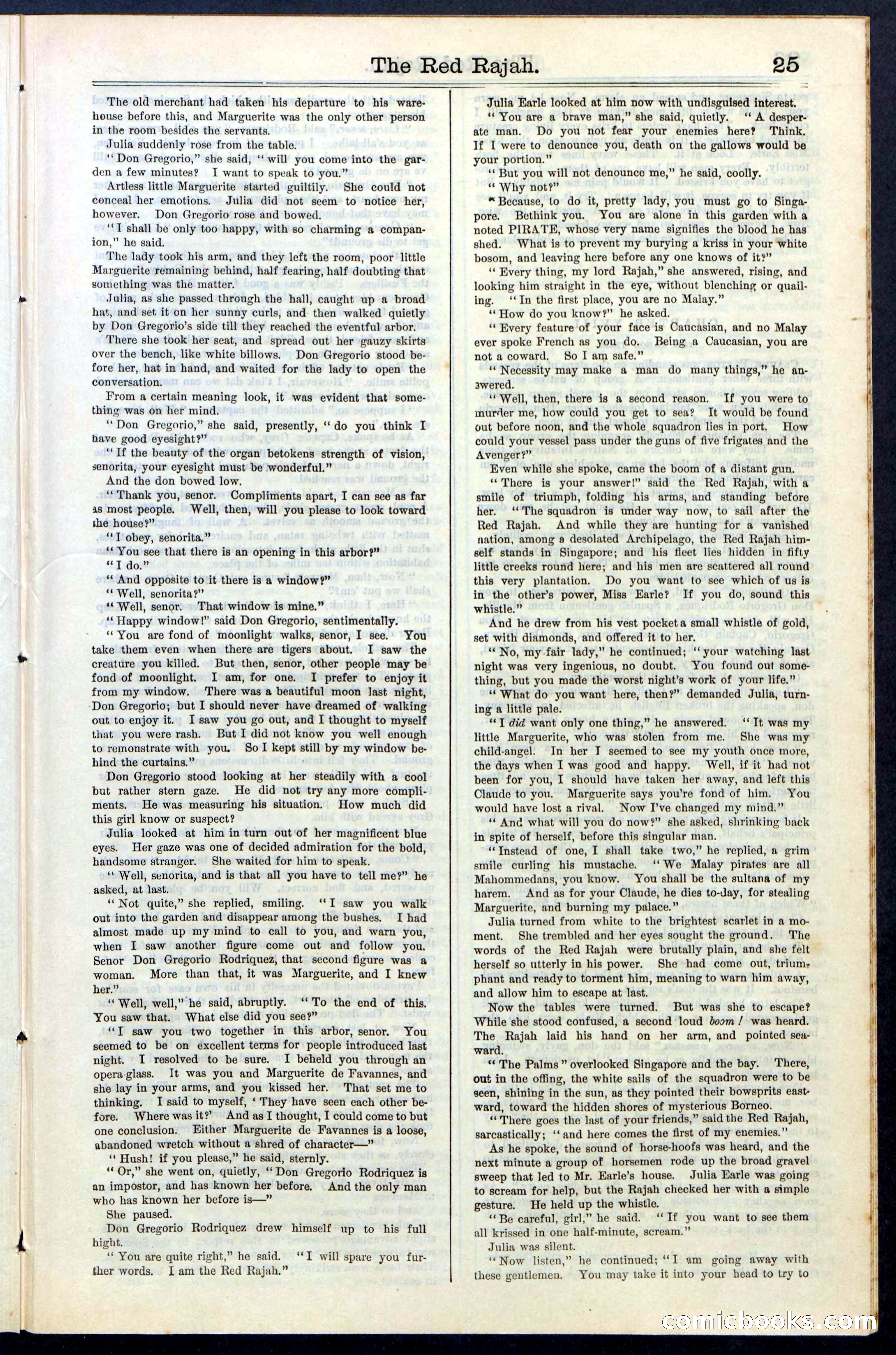 Beadle's Dime Library No. 65 — page 25 of 40