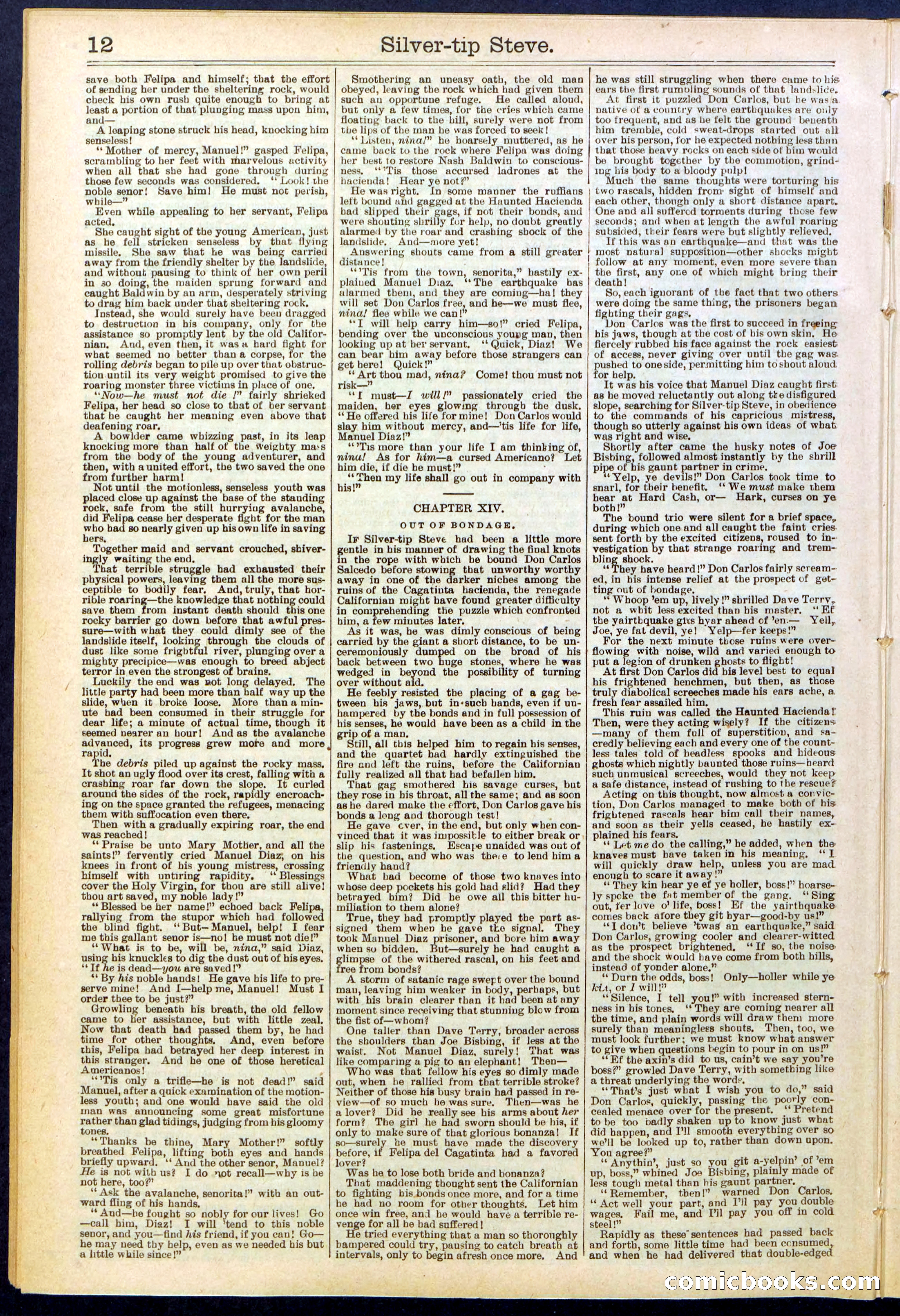 Beadle's New York Dime Library, No. 651 — page 12 of 32