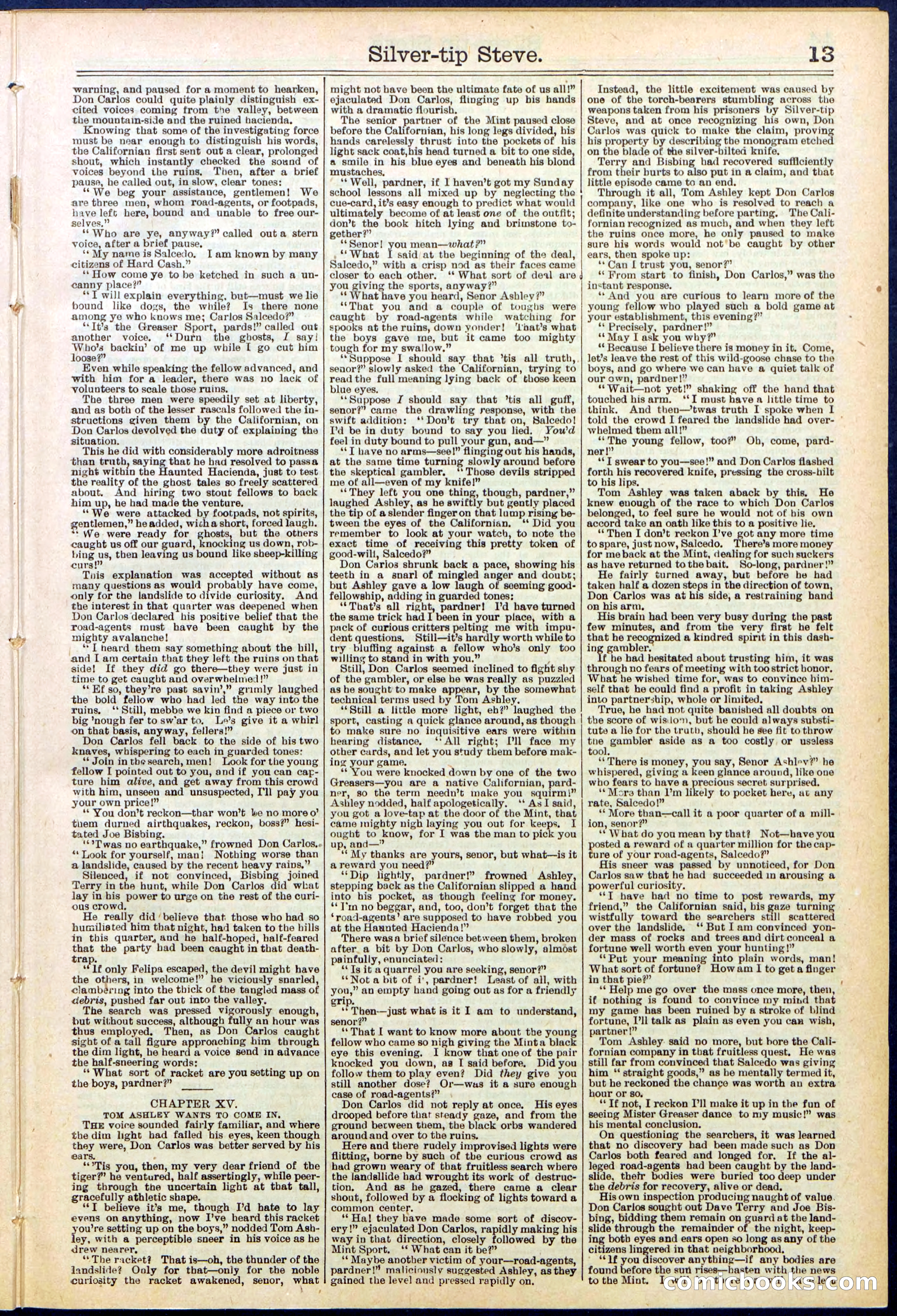 Beadle's New York Dime Library, No. 651 — page 13 of 32