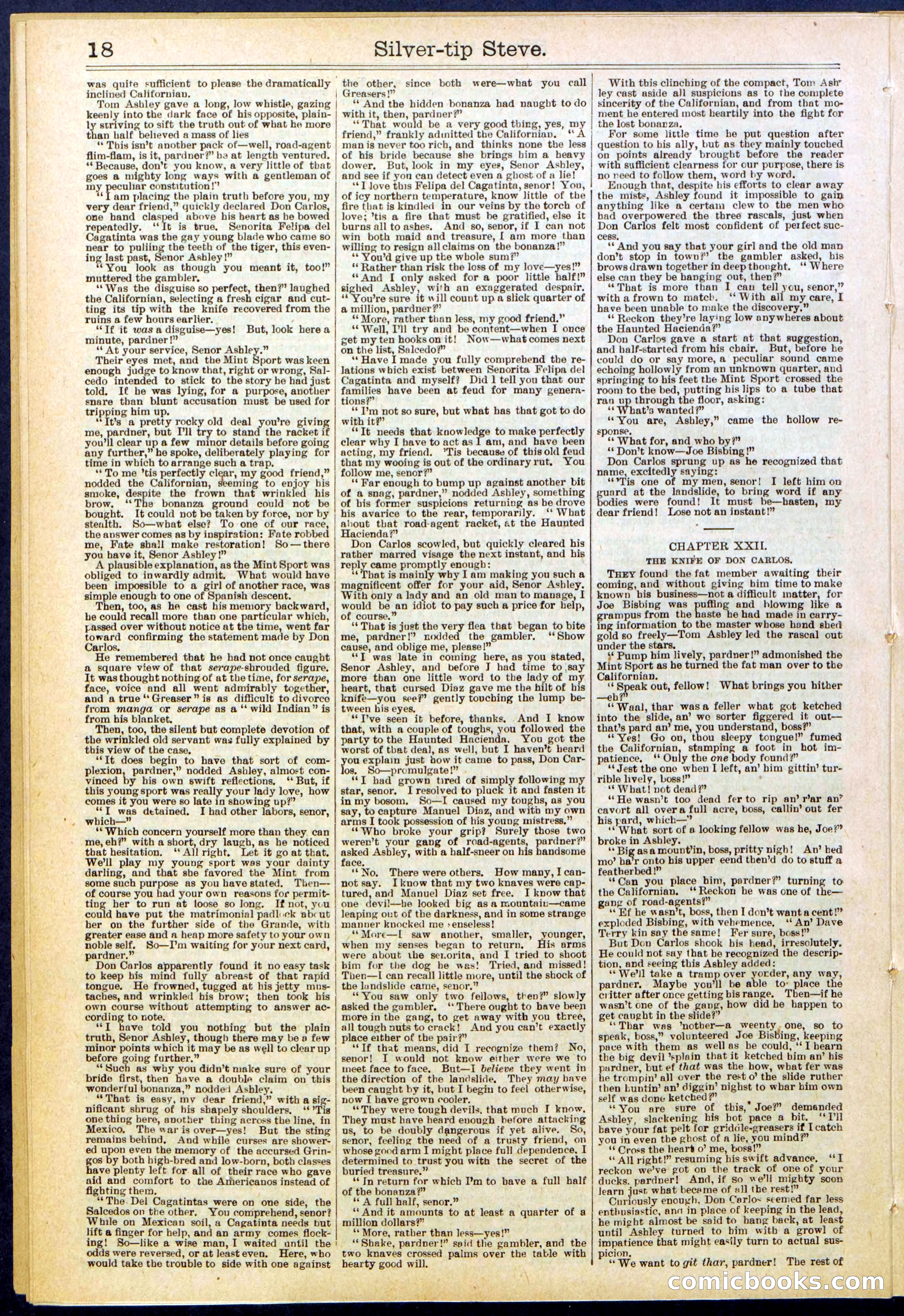 Beadle's New York Dime Library, No. 651 — page 18 of 32