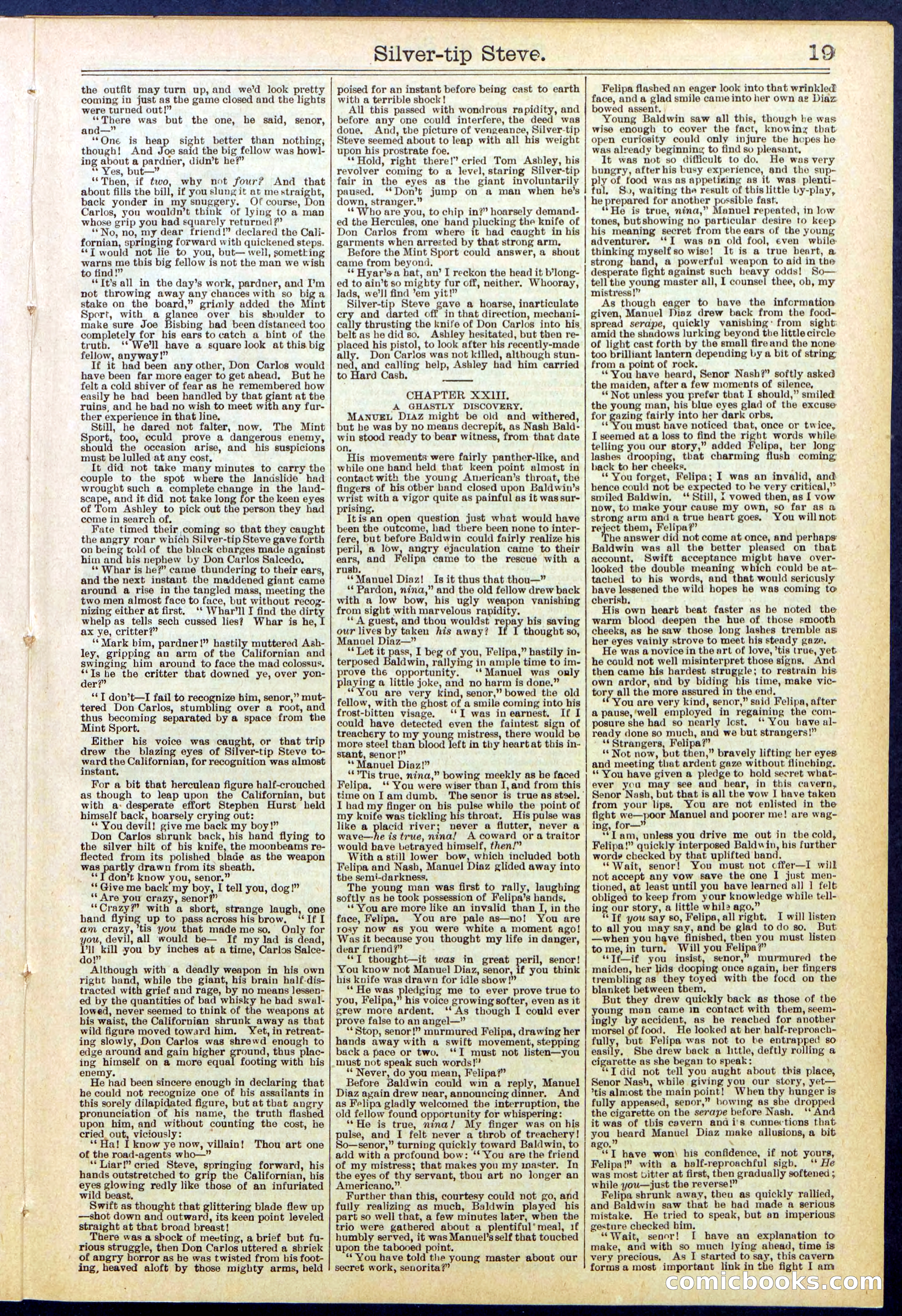 Beadle's New York Dime Library, No. 651 — page 19 of 32