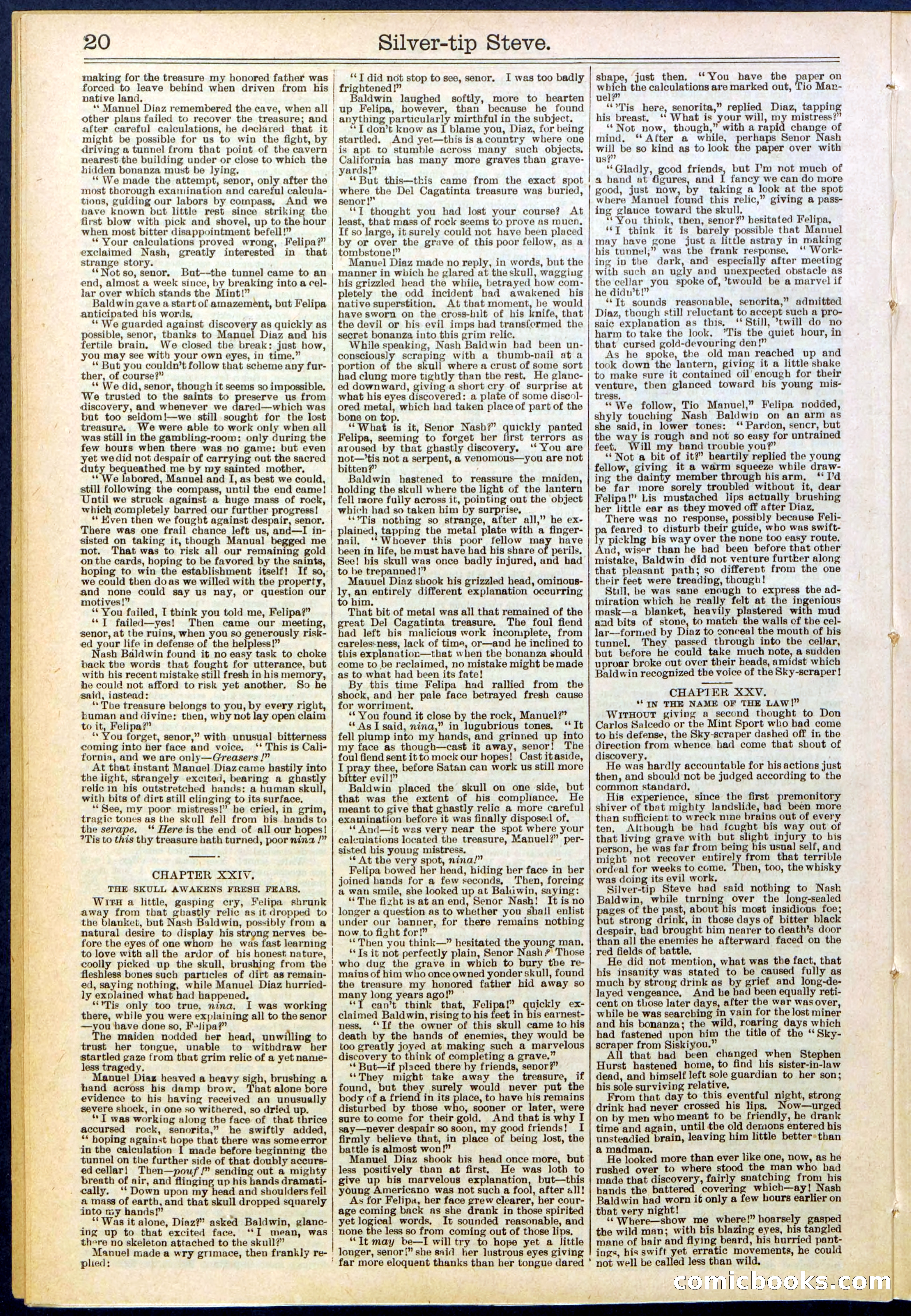 Beadle's New York Dime Library, No. 651 — page 20 of 32