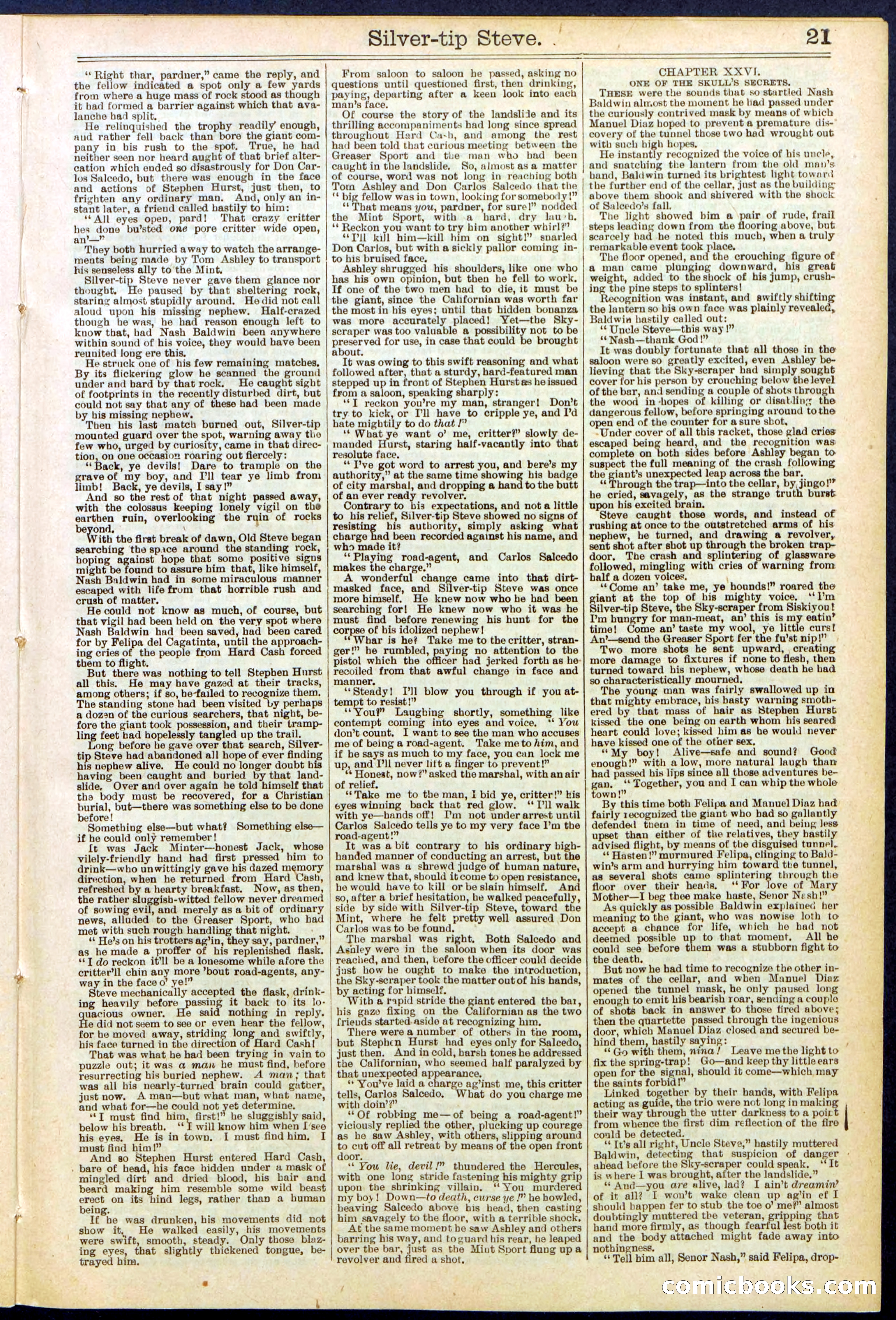 Beadle's New York Dime Library, No. 651 — page 21 of 32