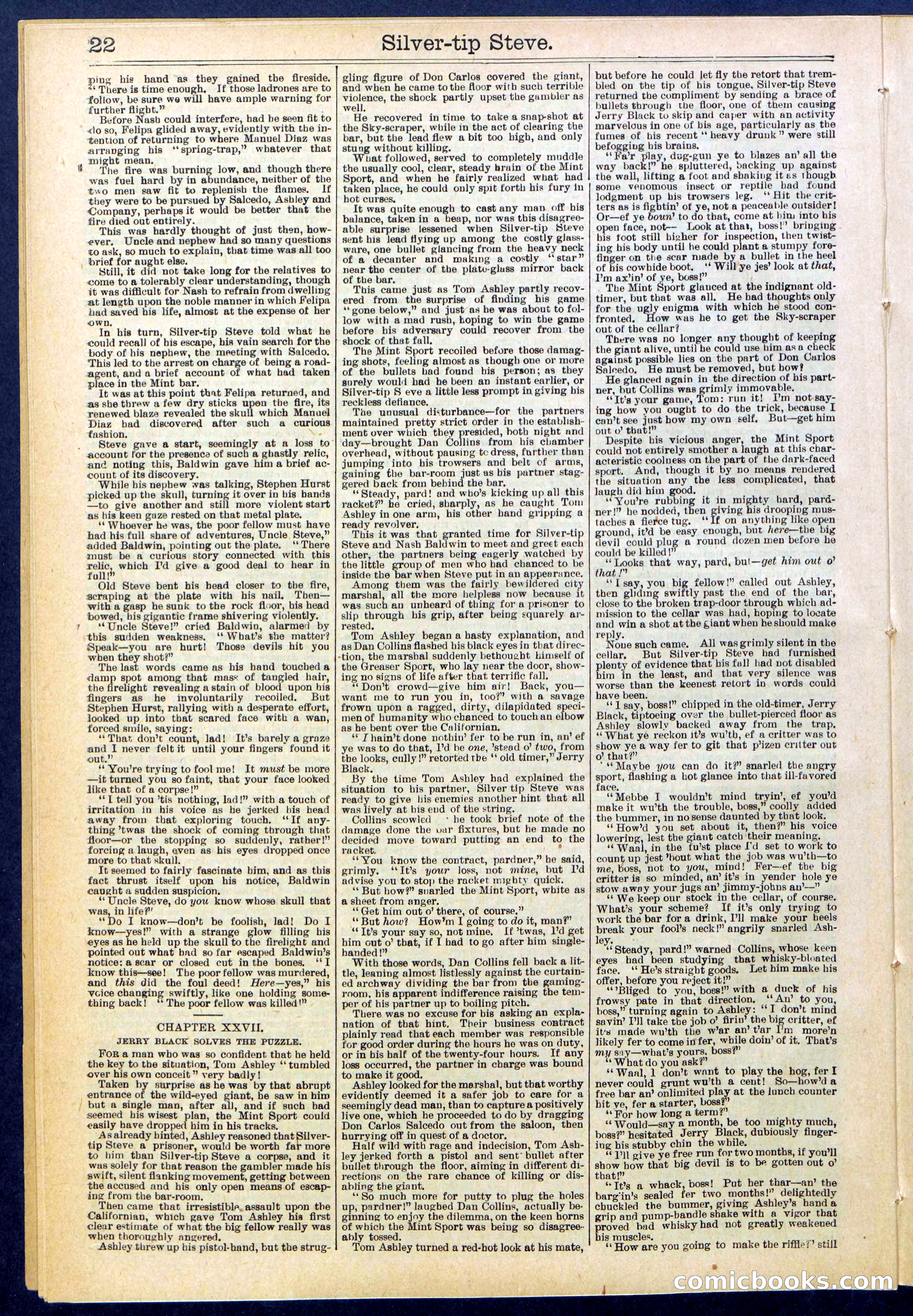 Beadle's New York Dime Library, No. 651 — page 22 of 32