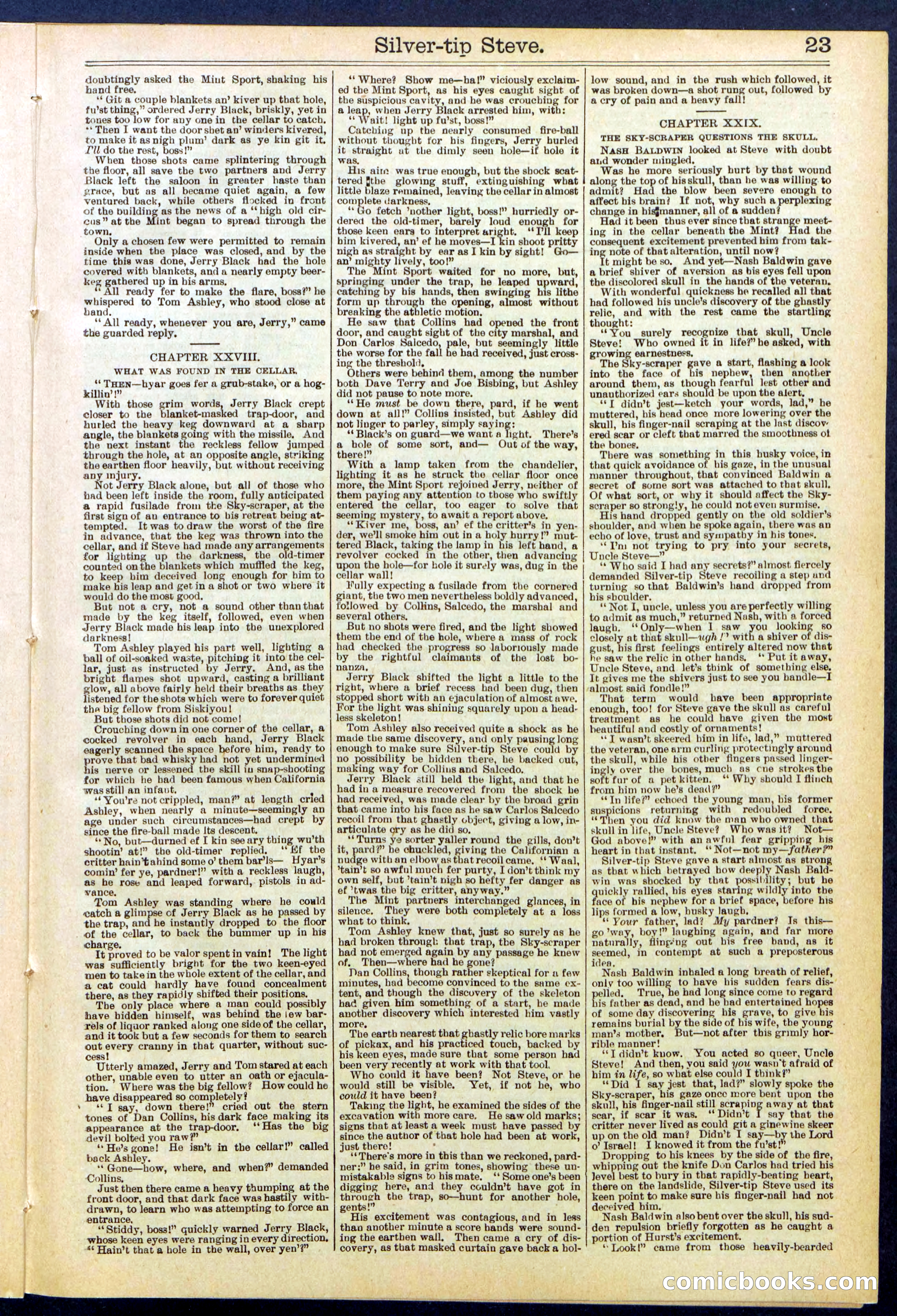 Beadle's New York Dime Library, No. 651 — page 23 of 32