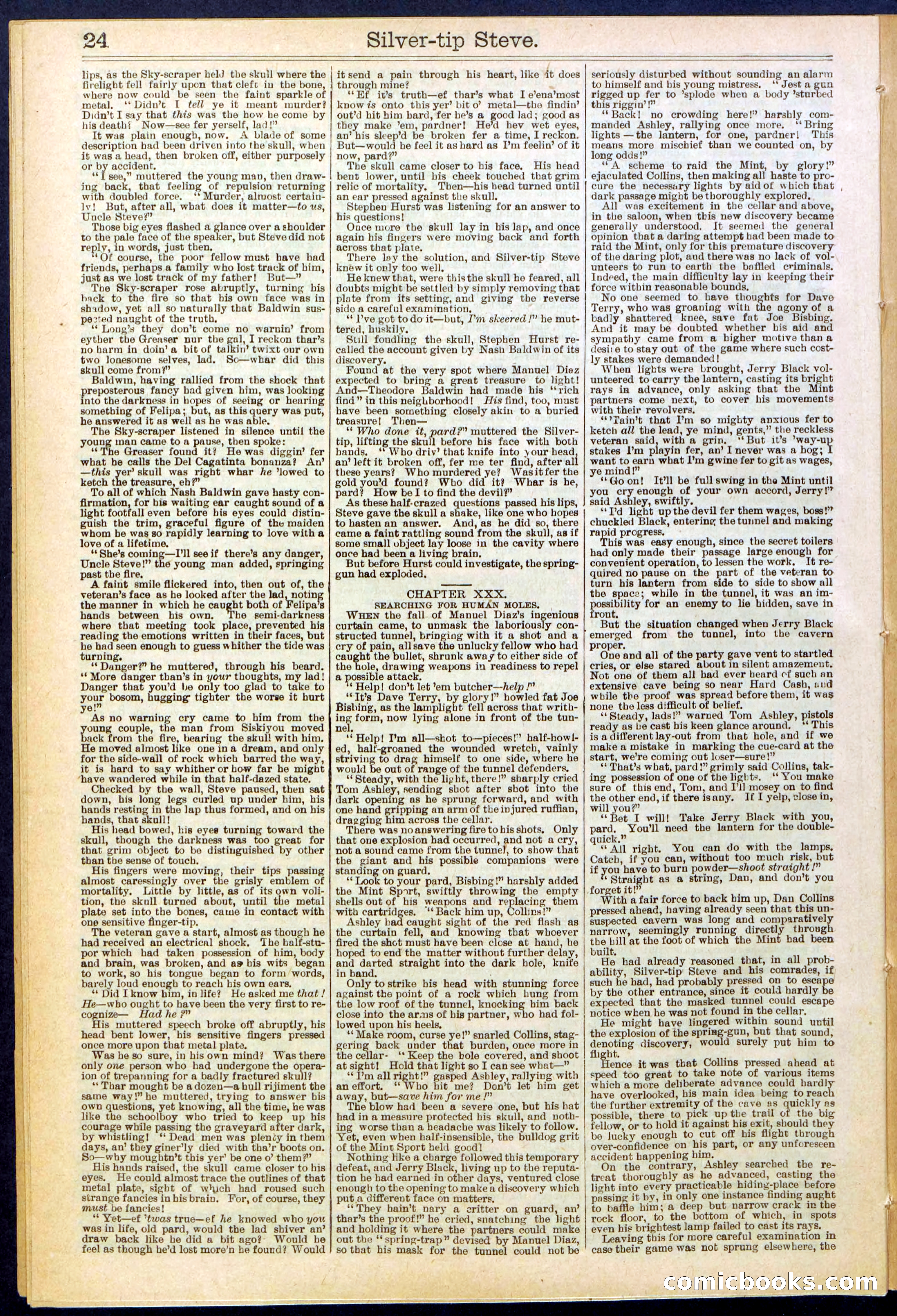 Beadle's New York Dime Library, No. 651 — page 24 of 32