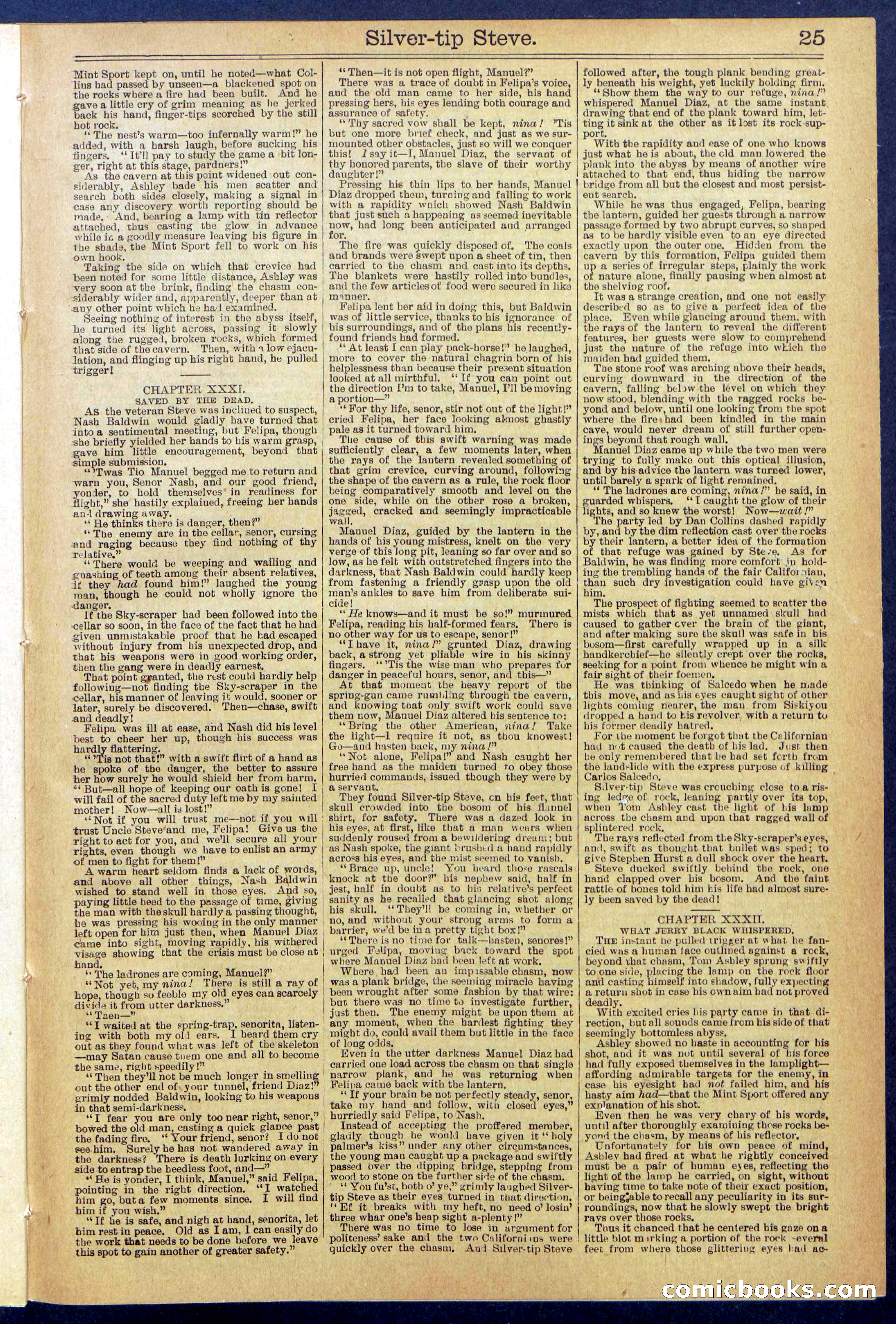 Beadle's New York Dime Library, No. 651 — page 25 of 32
