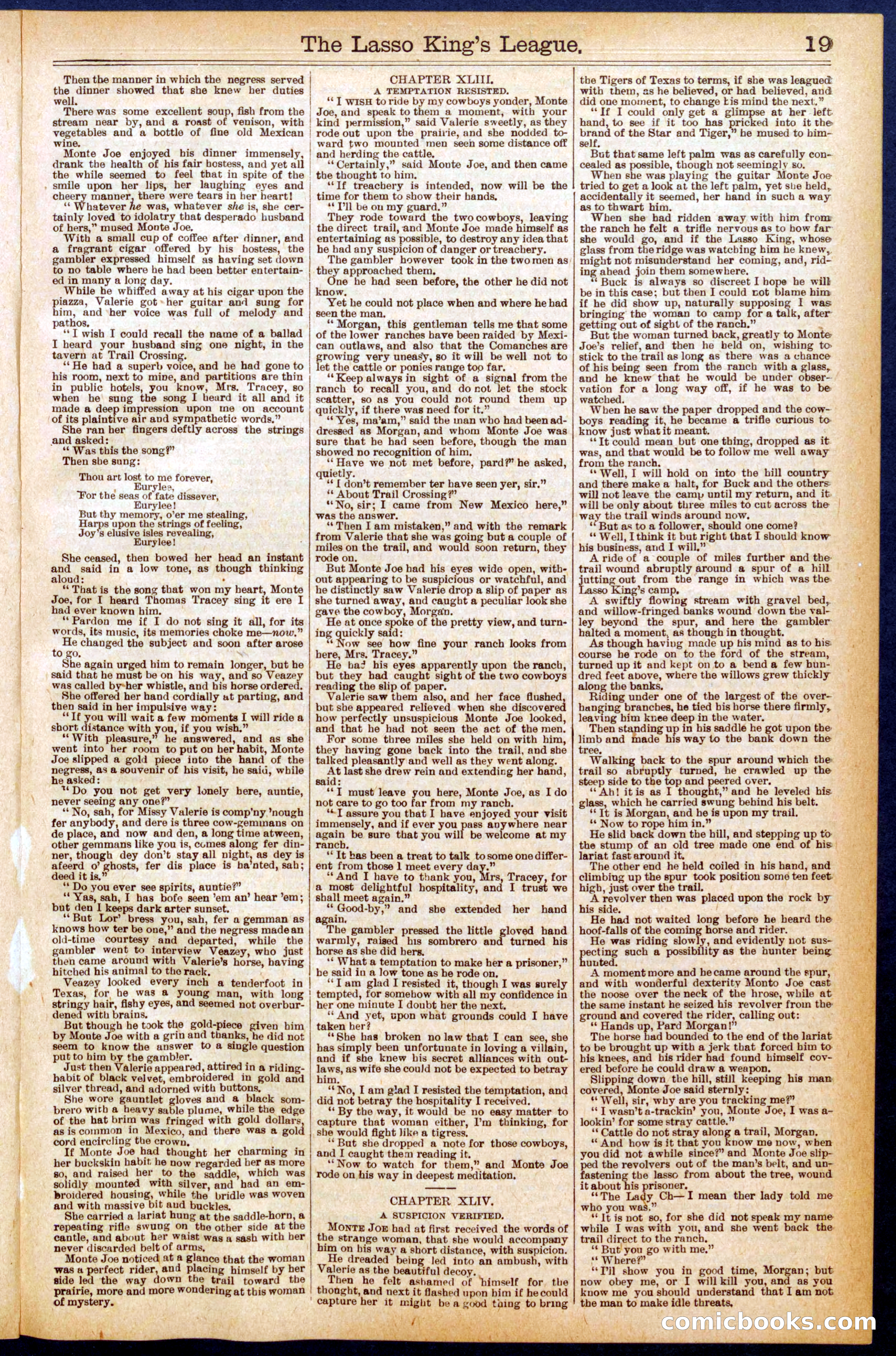 Beadle's Dime Library No. 653 — page 19 of 32