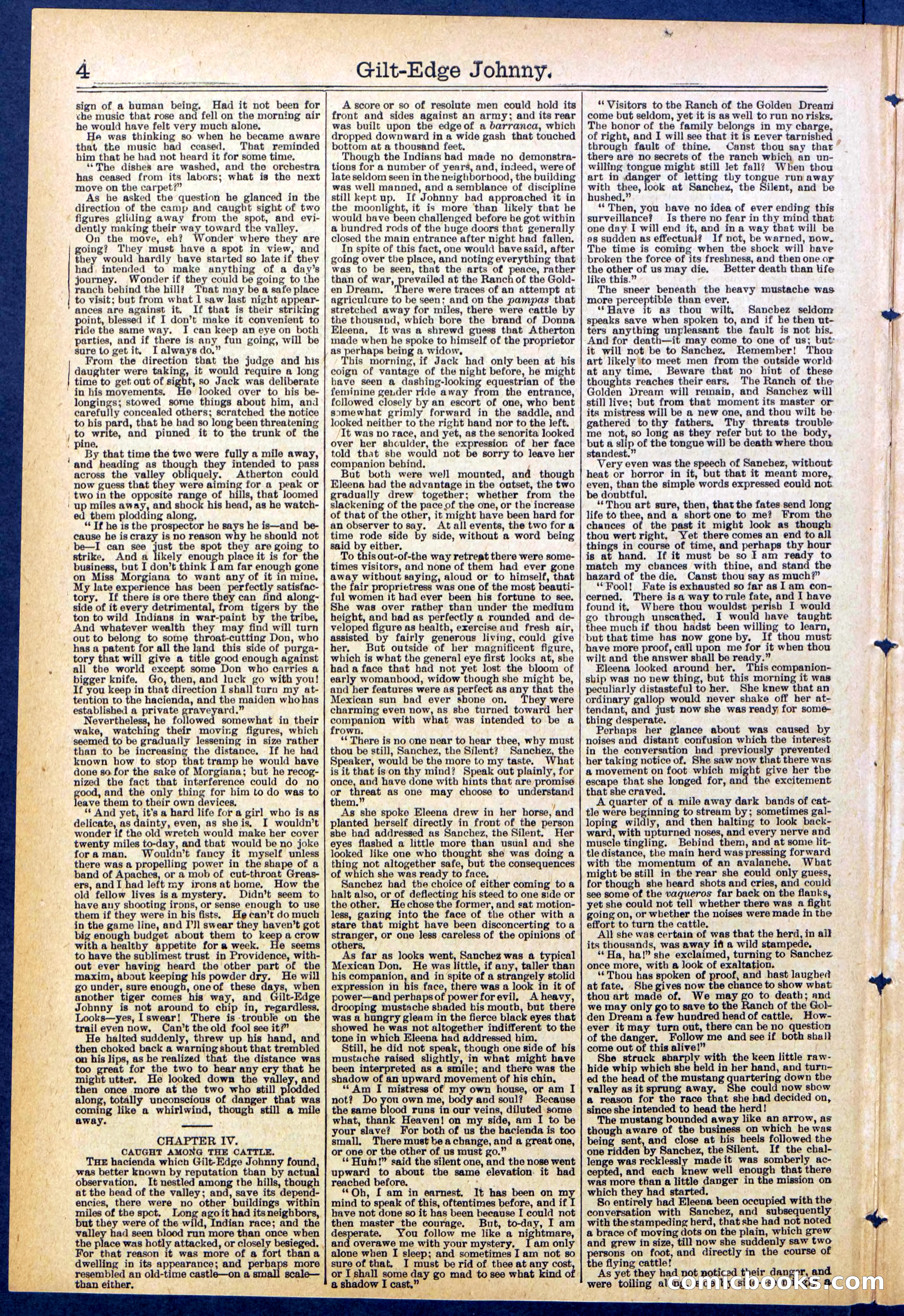 Beadle's New York Dime Library No. 659 — page 4 of 32