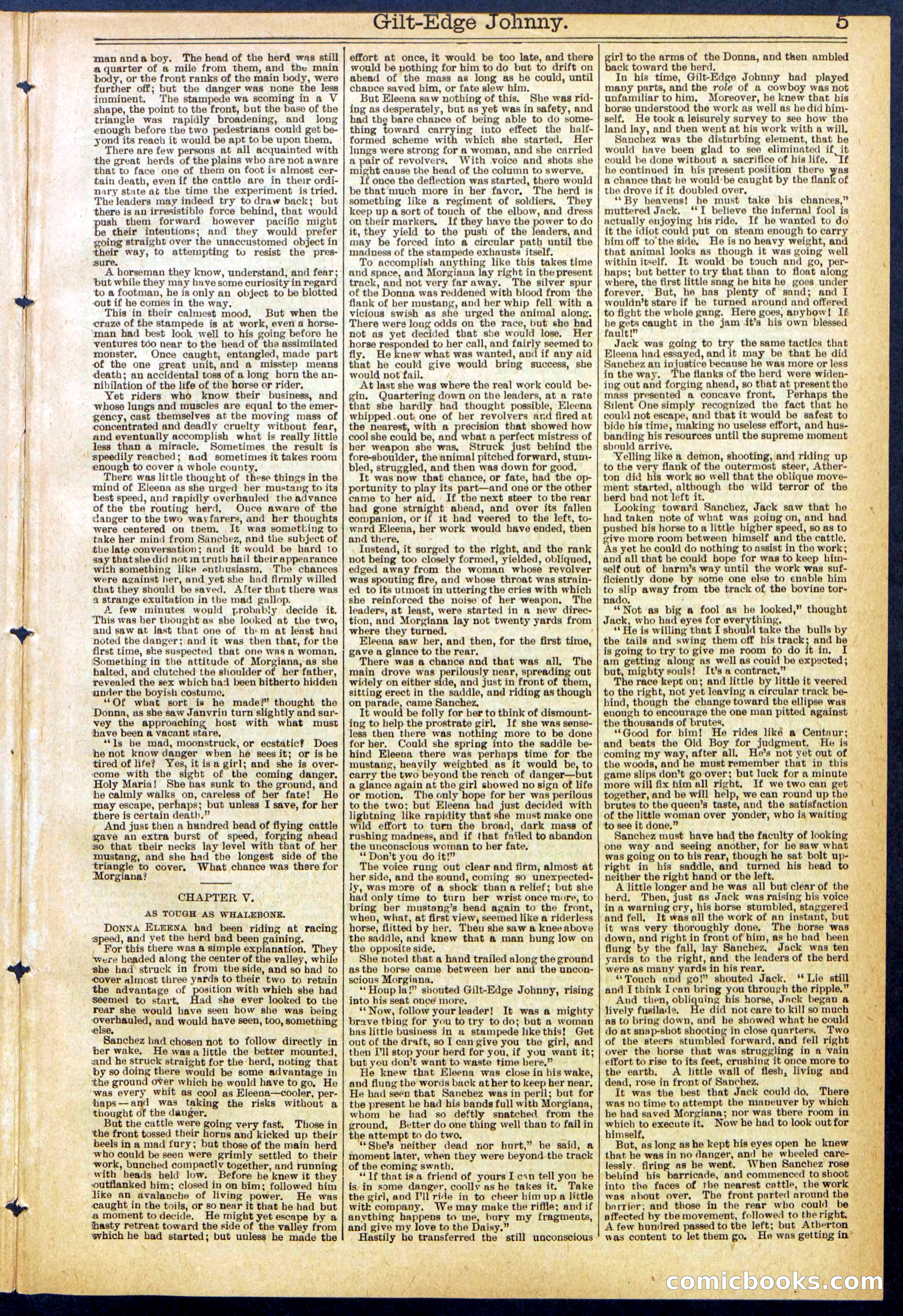 Beadle's New York Dime Library No. 659 — page 5 of 32