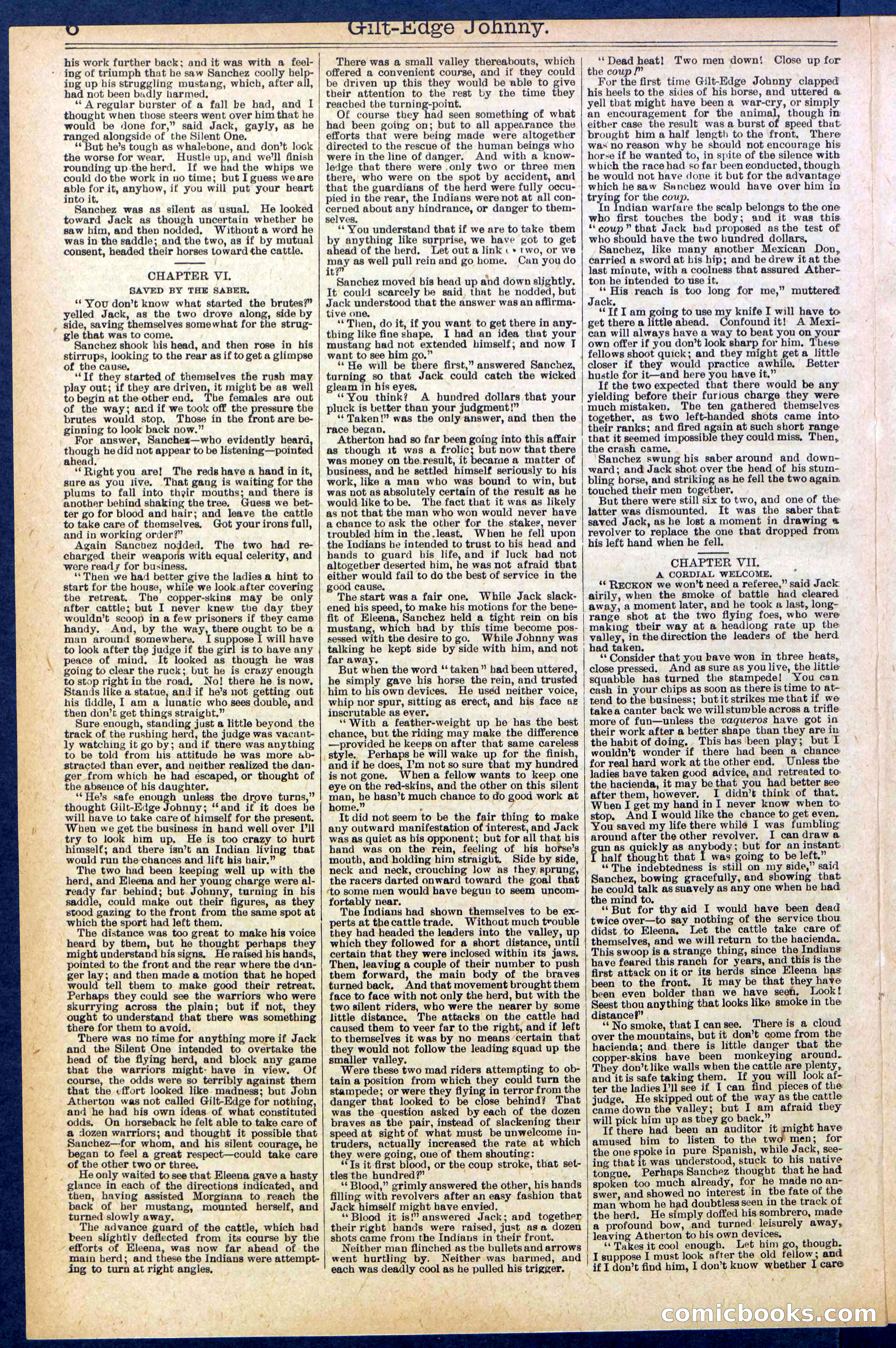 Beadle's New York Dime Library No. 659 — page 6 of 32