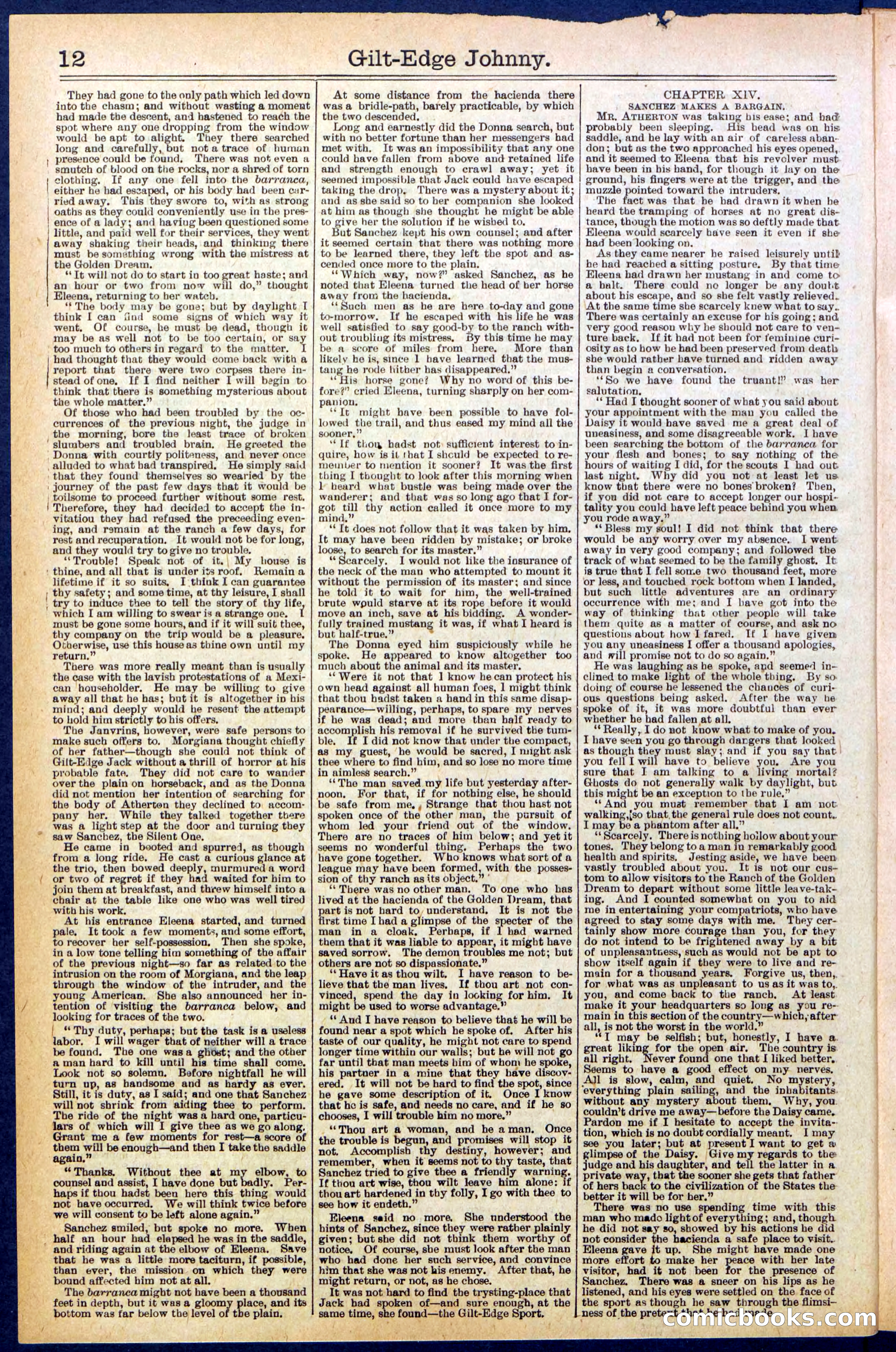Beadle's New York Dime Library No. 659 — page 12 of 32