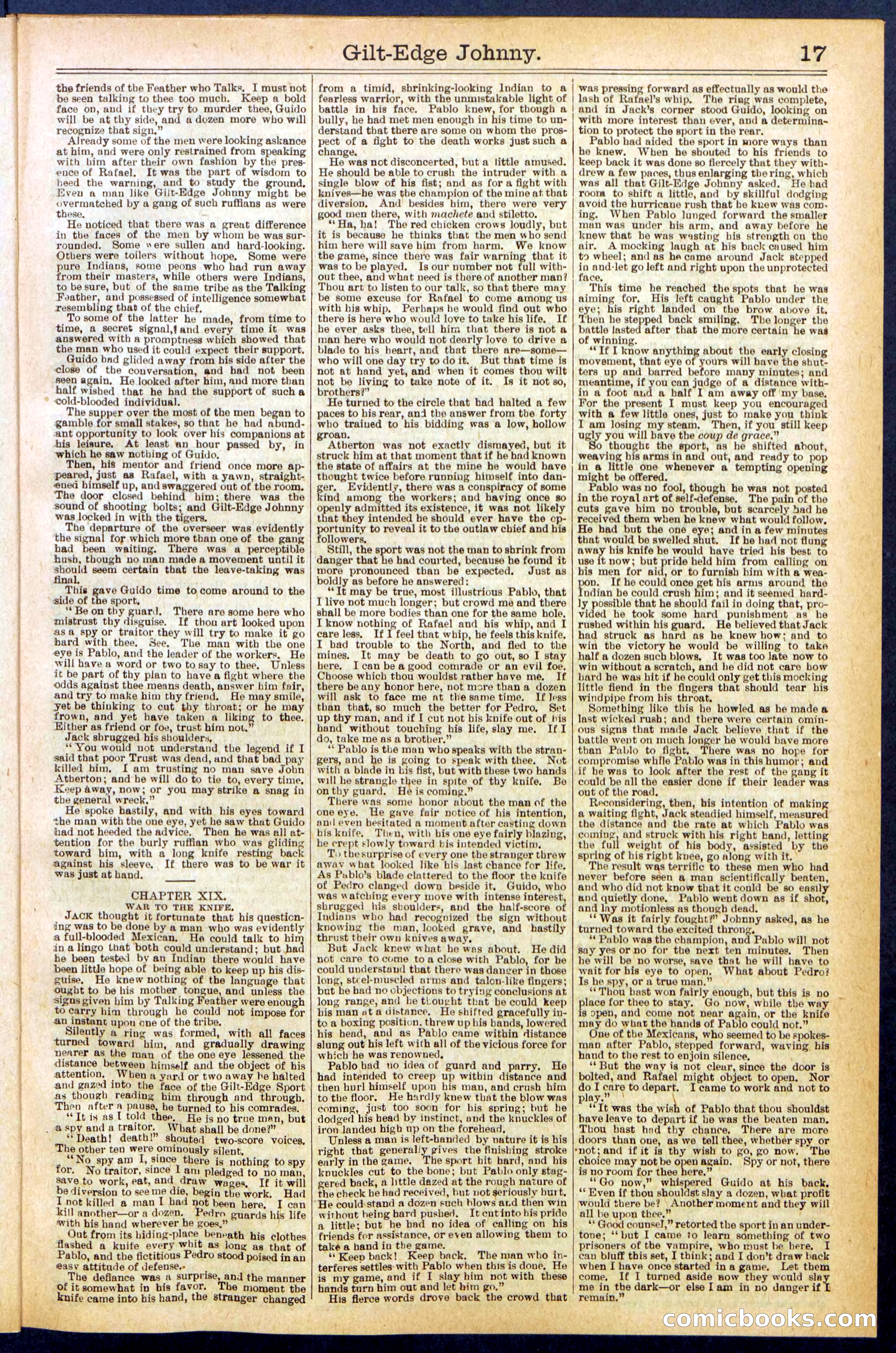 Beadle's New York Dime Library No. 659 — page 17 of 32