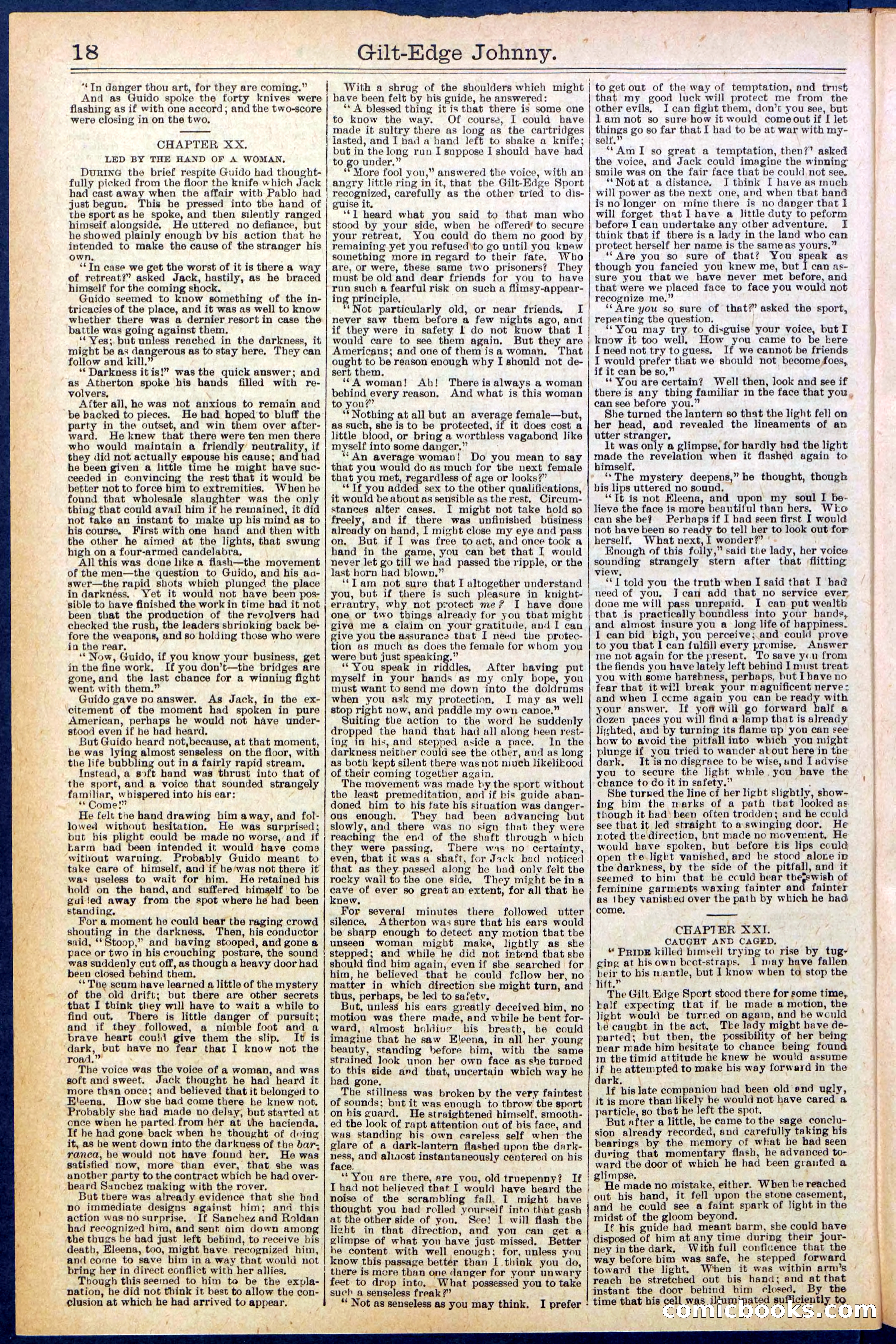 Beadle's New York Dime Library No. 659 — page 18 of 32