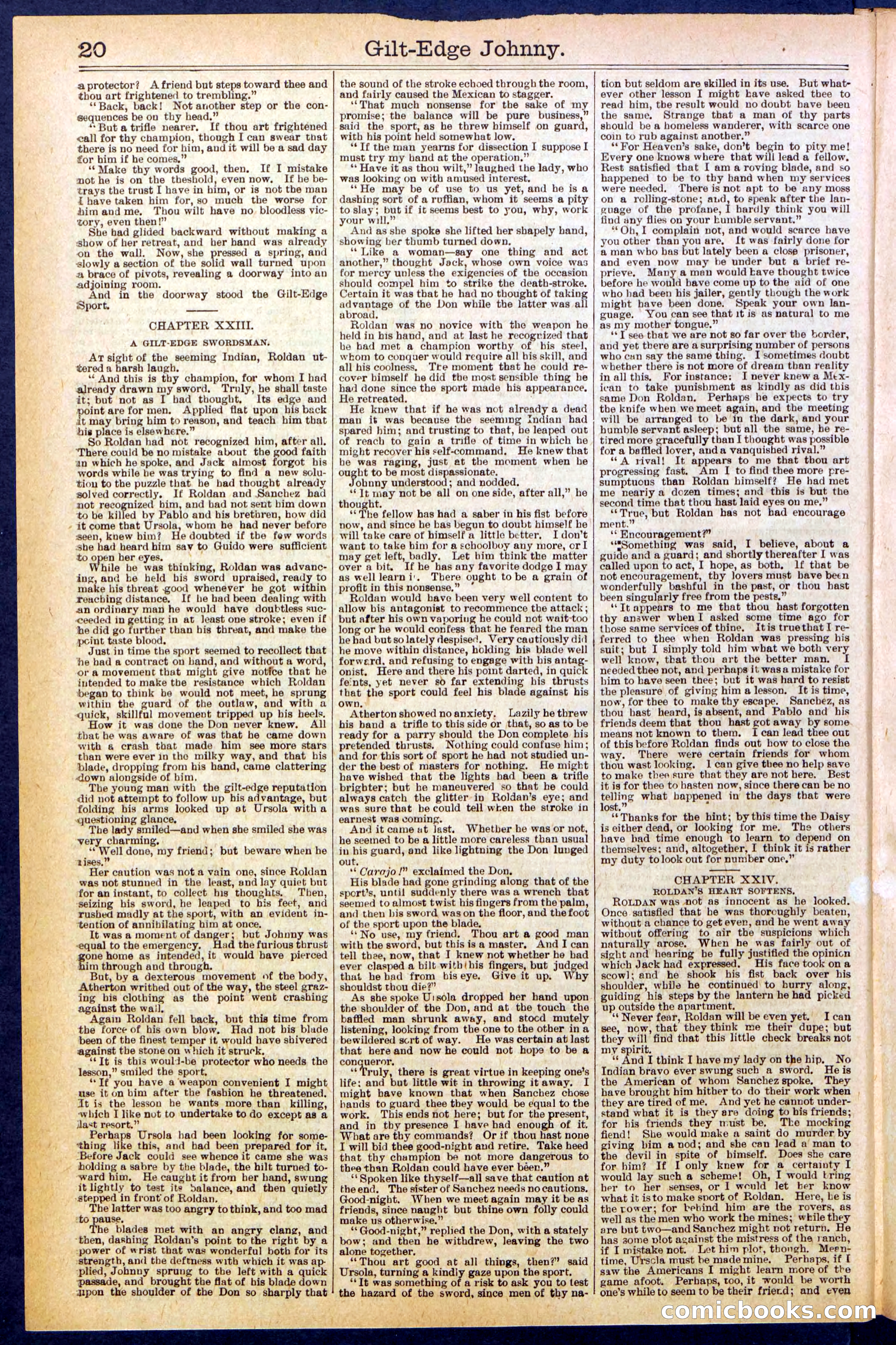 Beadle's New York Dime Library No. 659 — page 20 of 32