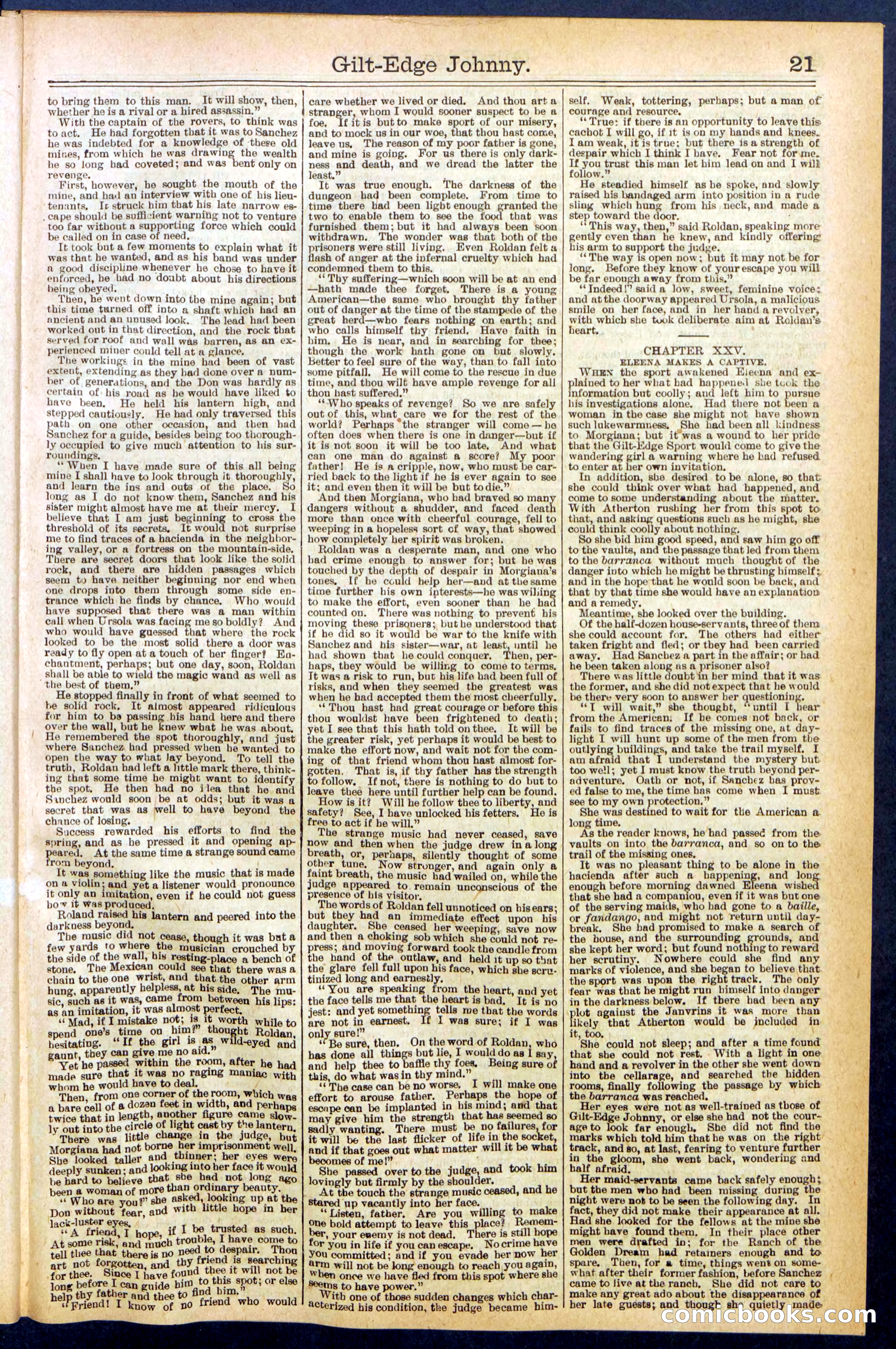 Beadle's New York Dime Library No. 659 — page 21 of 32