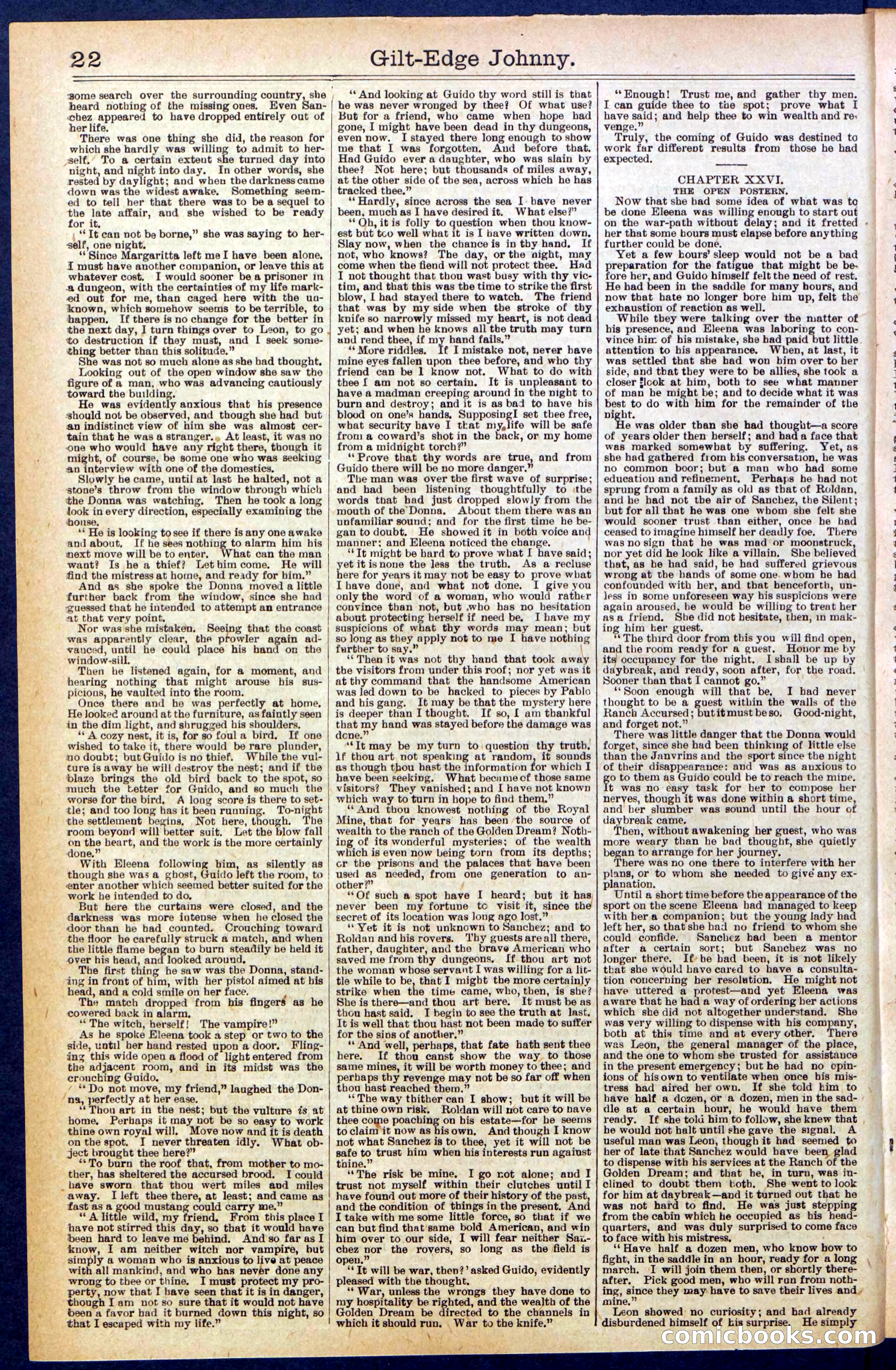 Beadle's New York Dime Library No. 659 — page 22 of 32