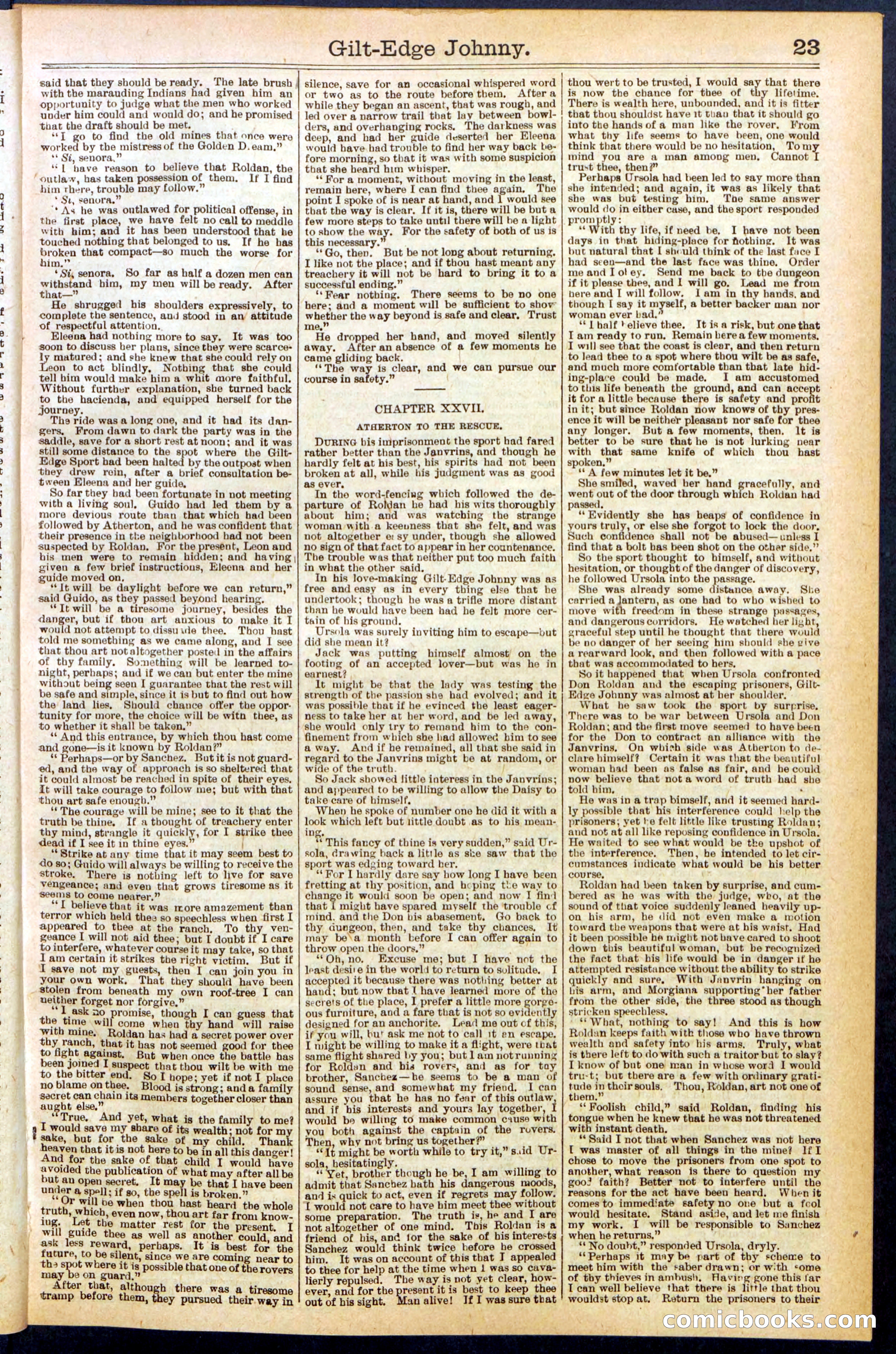 Beadle's New York Dime Library No. 659 — page 23 of 32