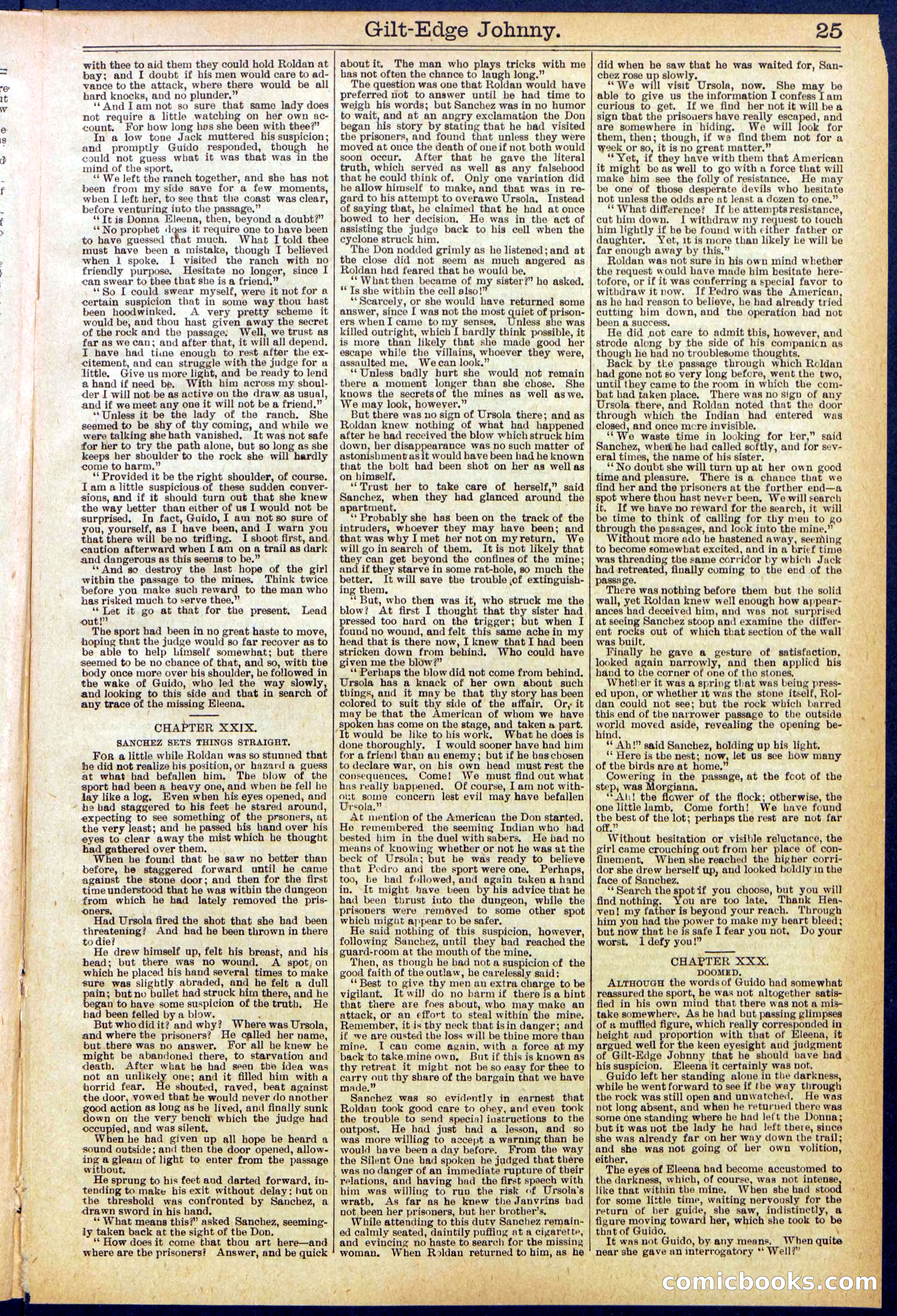 Beadle's New York Dime Library No. 659 — page 25 of 32