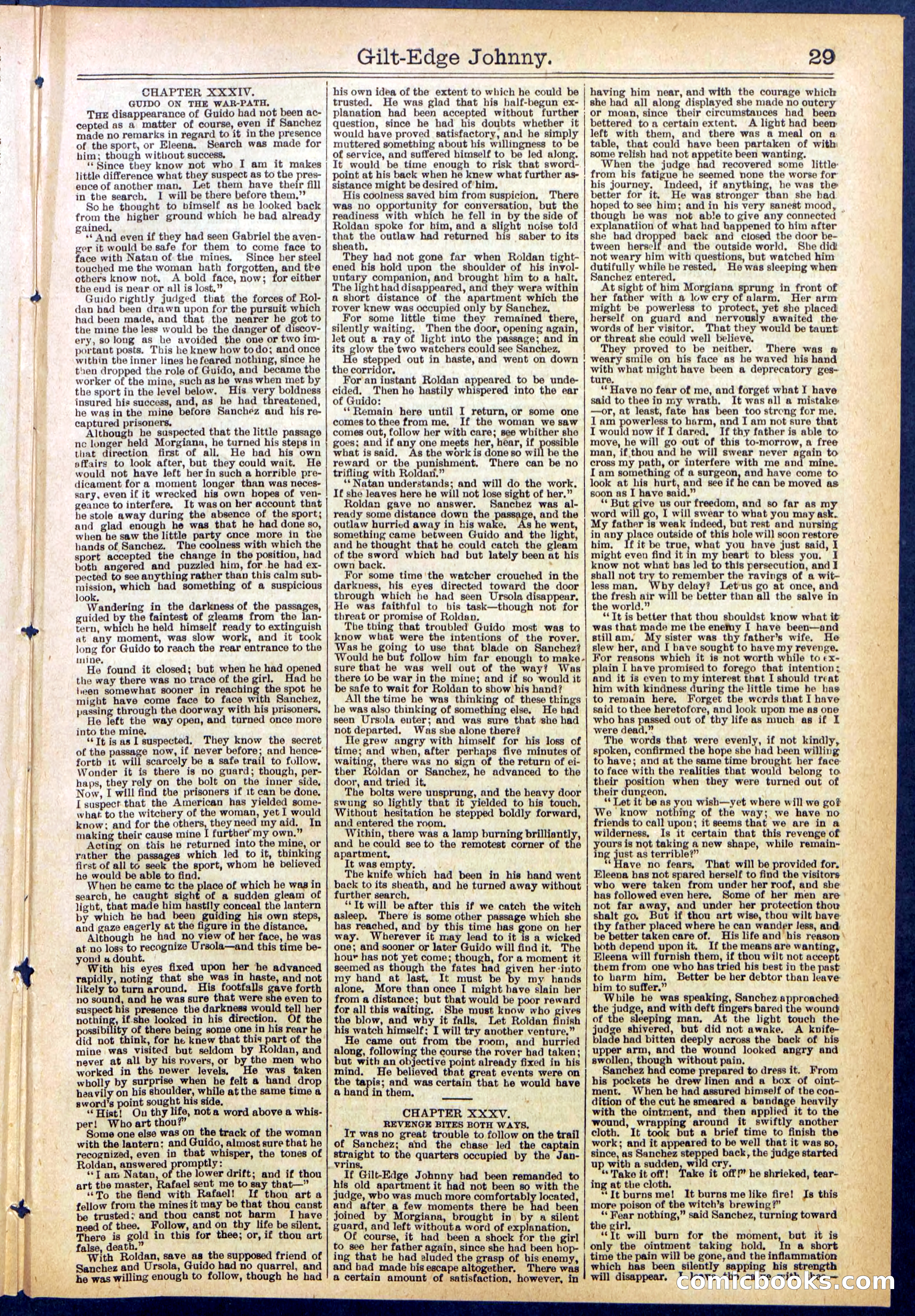 Beadle's New York Dime Library No. 659 — page 29 of 32