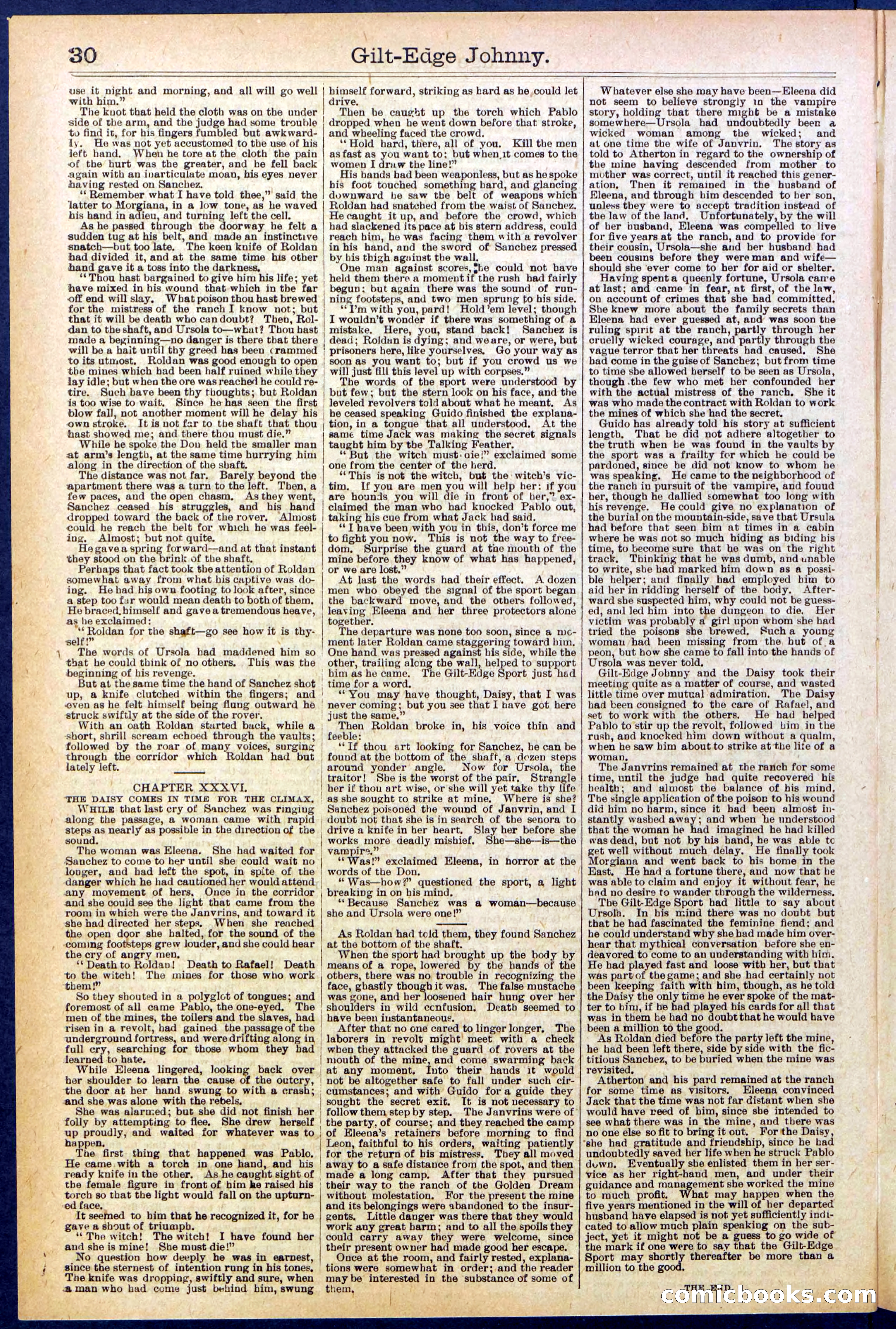 Beadle's New York Dime Library No. 659 — page 30 of 32