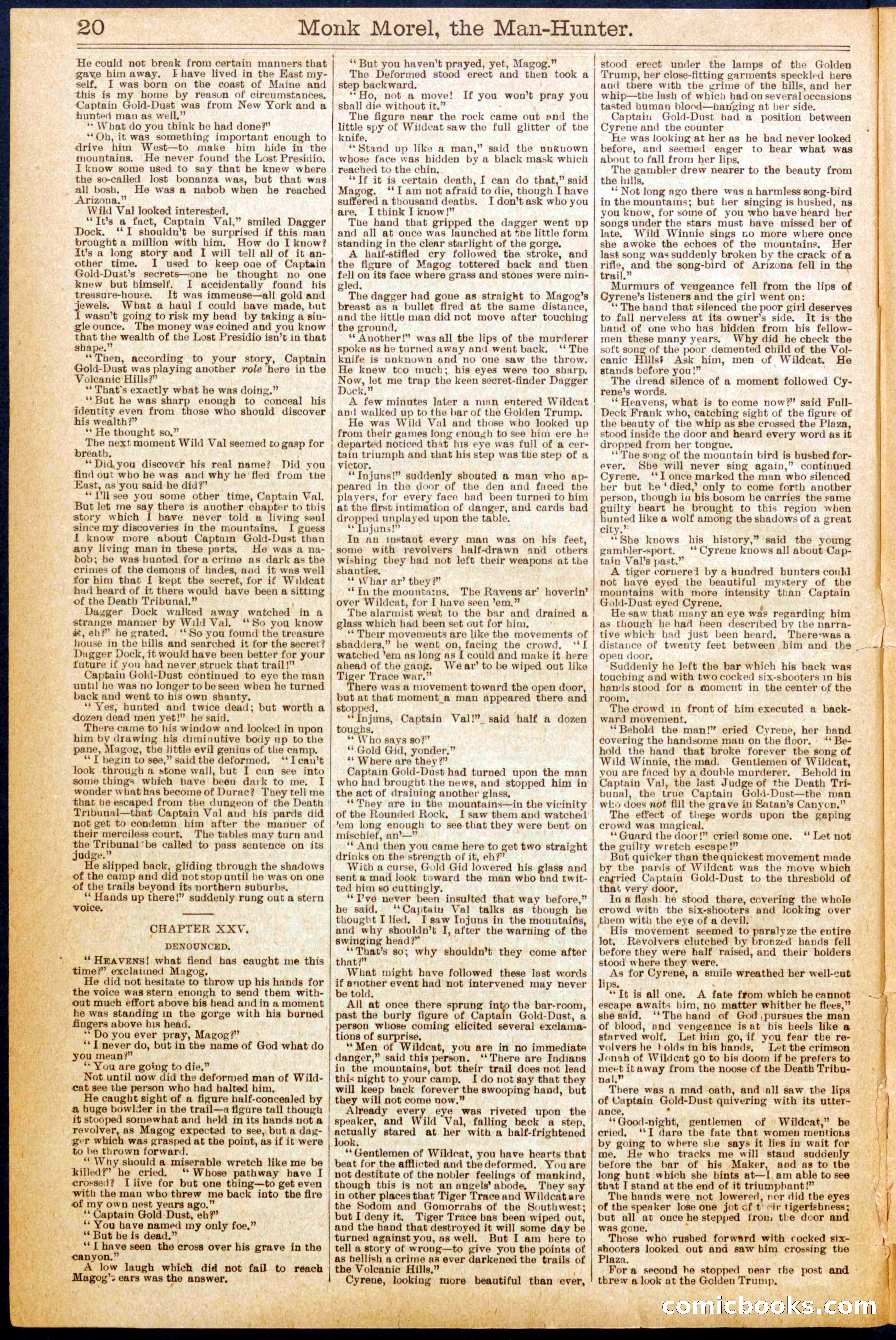 Beadle's New York Dime Library No. 664 — page 20 of 32