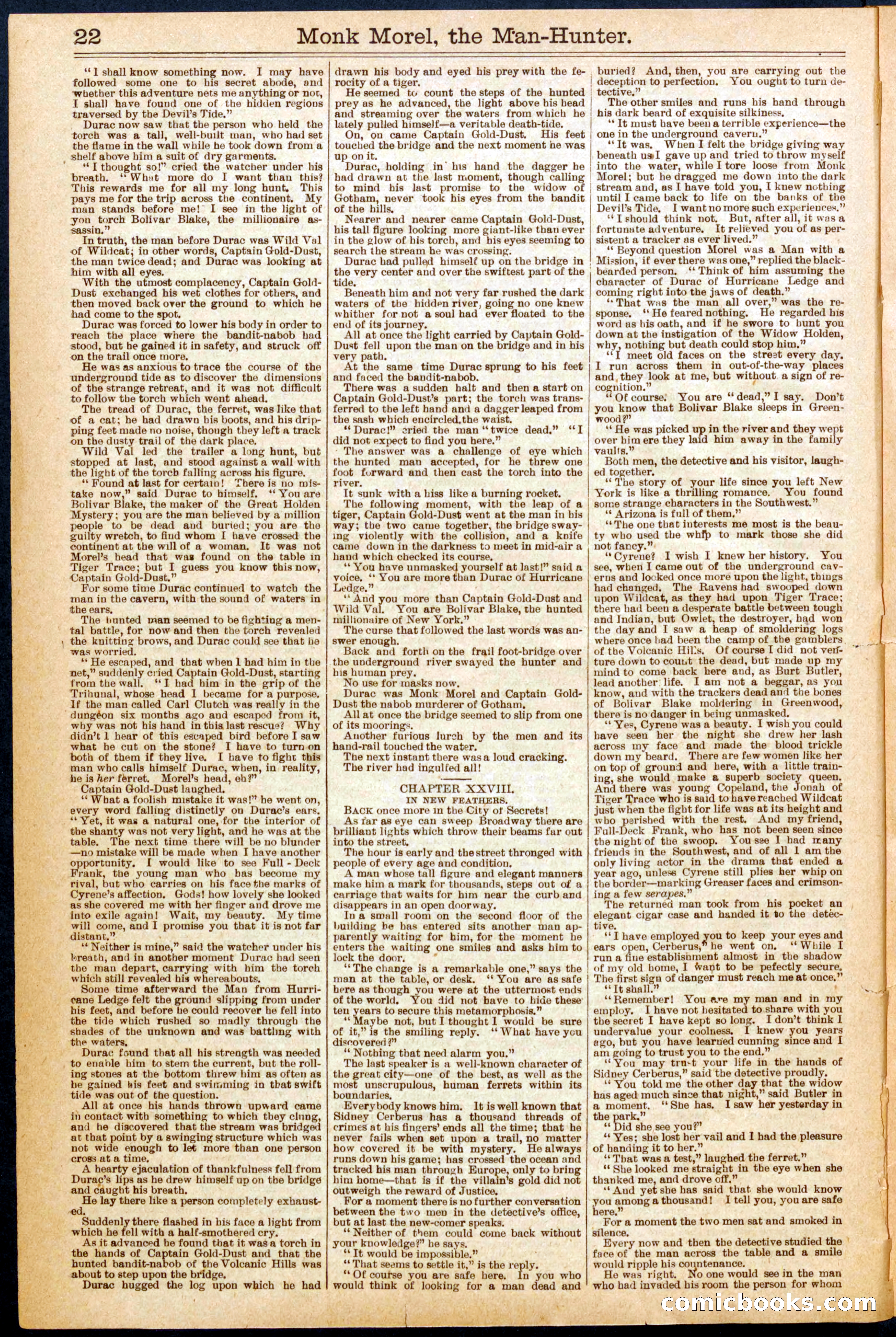 Beadle's New York Dime Library No. 664 — page 22 of 32
