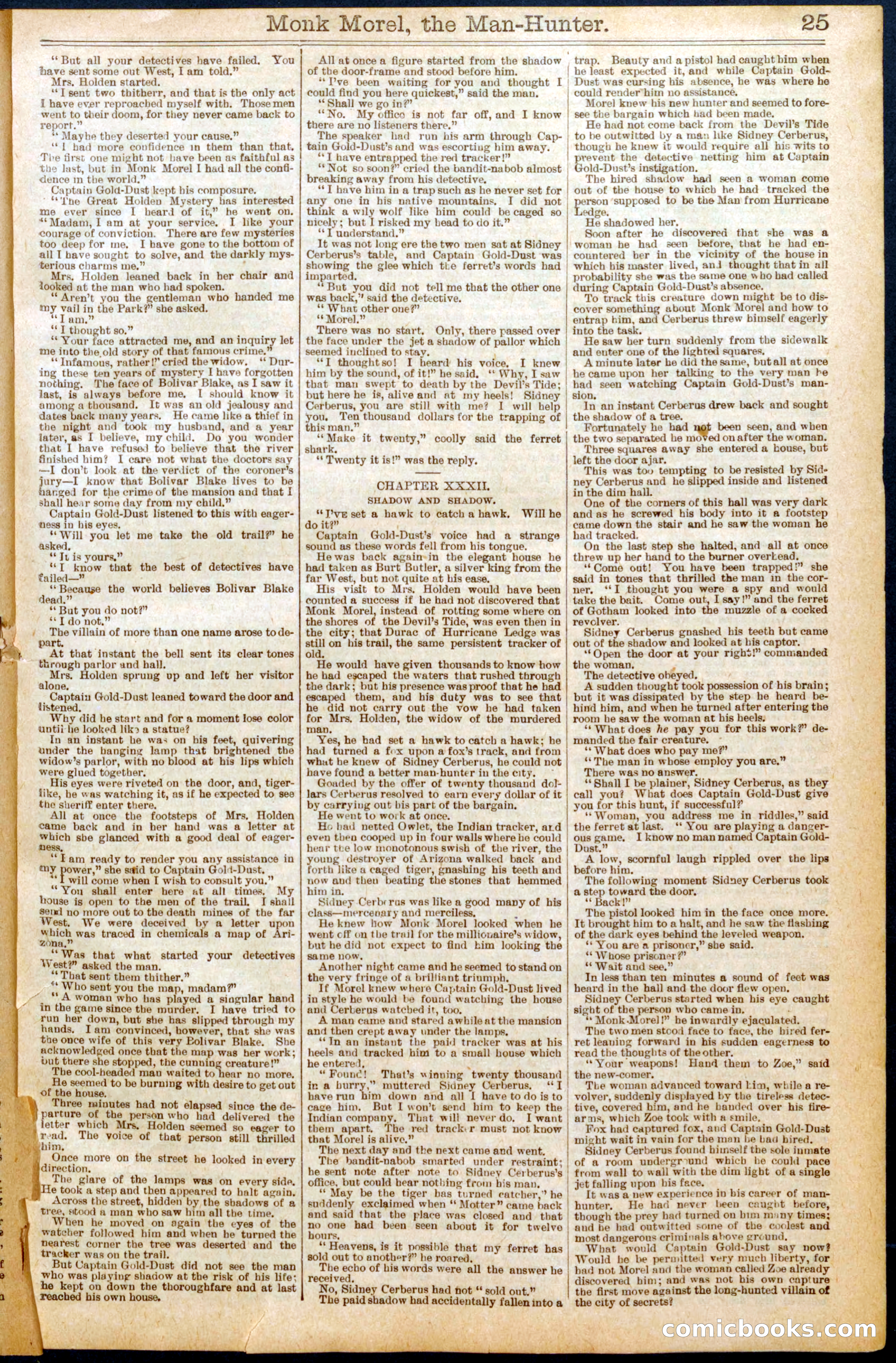 Beadle's New York Dime Library No. 664 — page 25 of 32