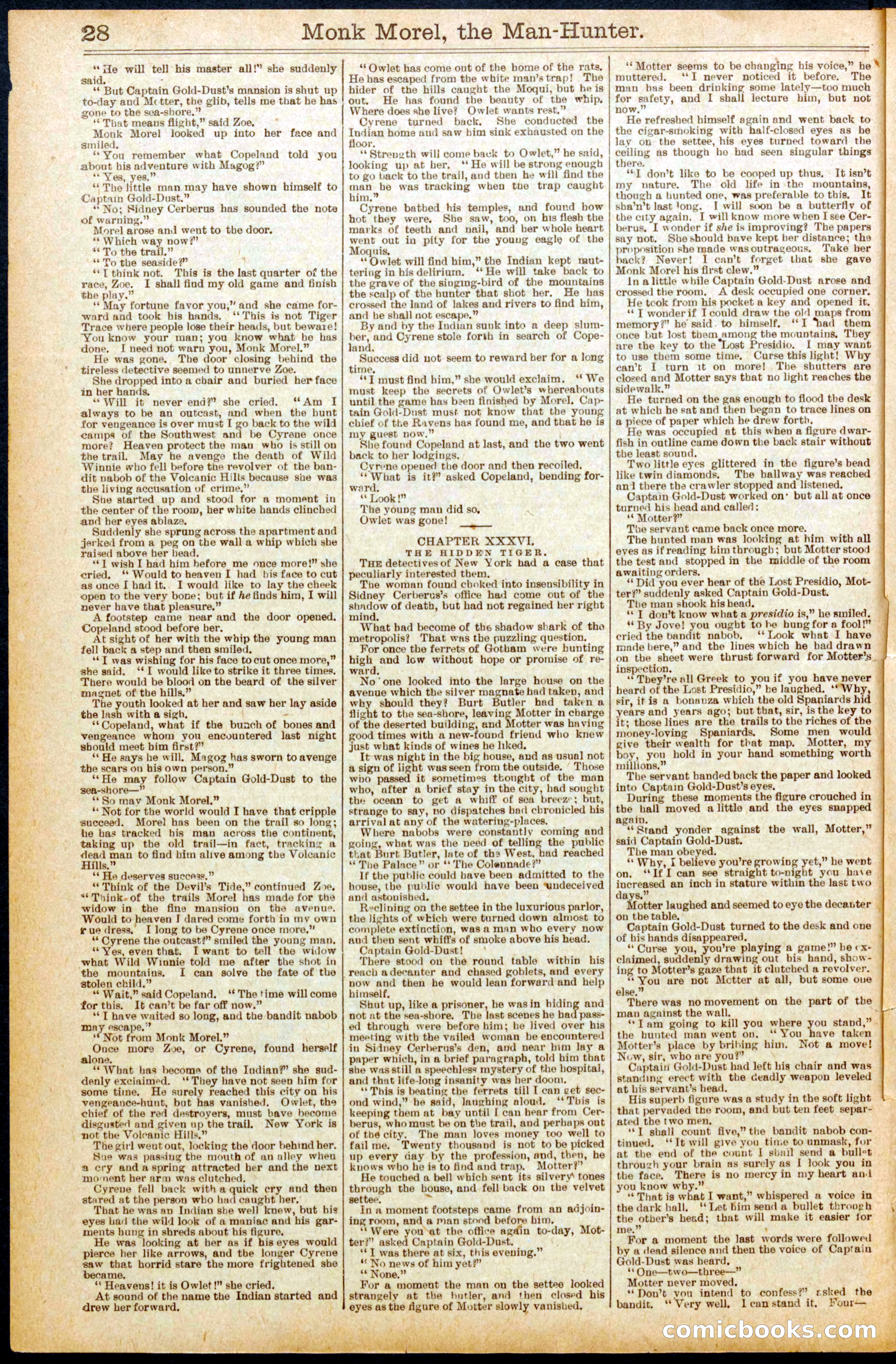 Beadle's New York Dime Library No. 664 — page 28 of 32