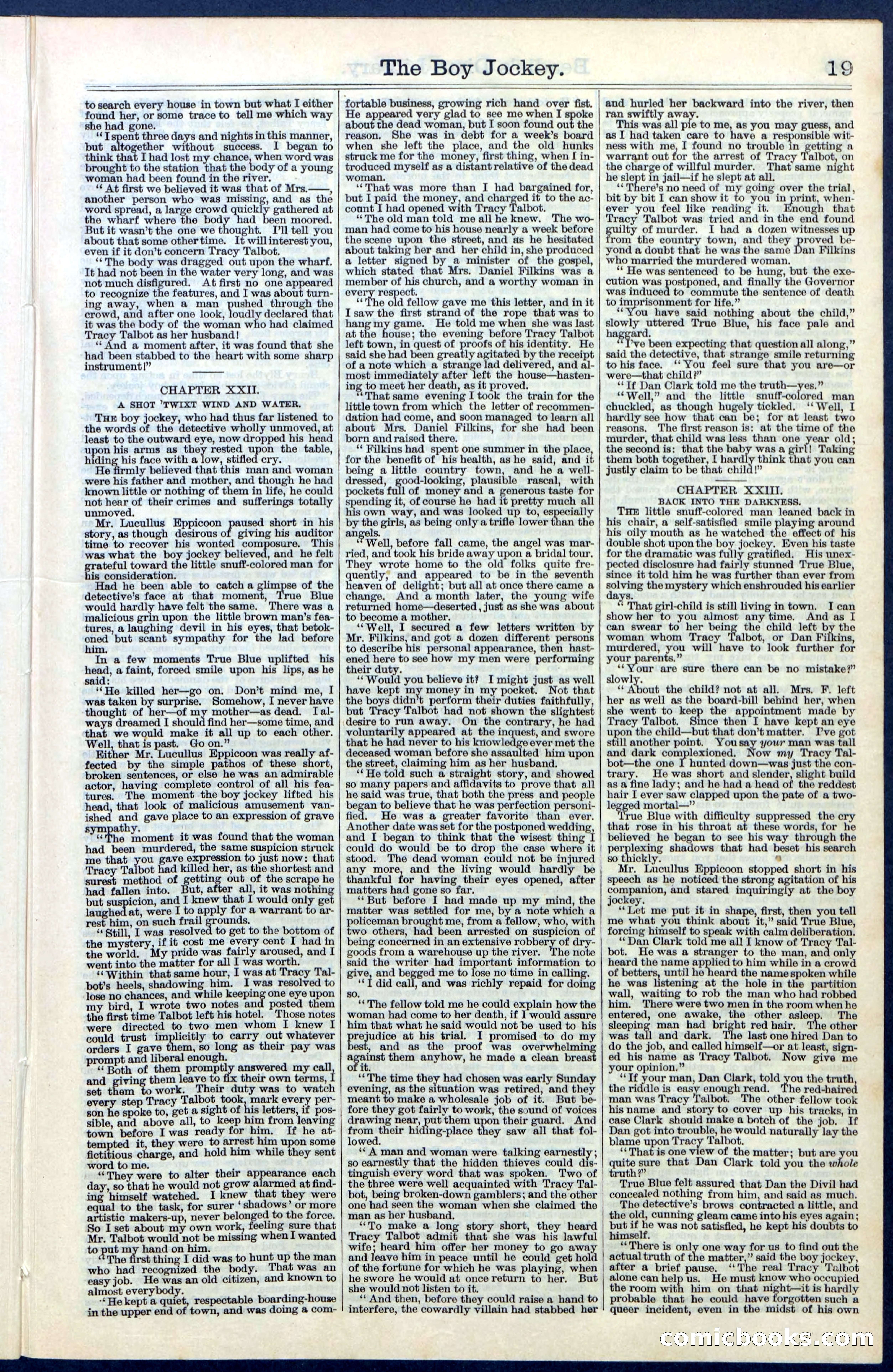 Beadle's New York Dime Library, No. 67 — page 19 of 32
