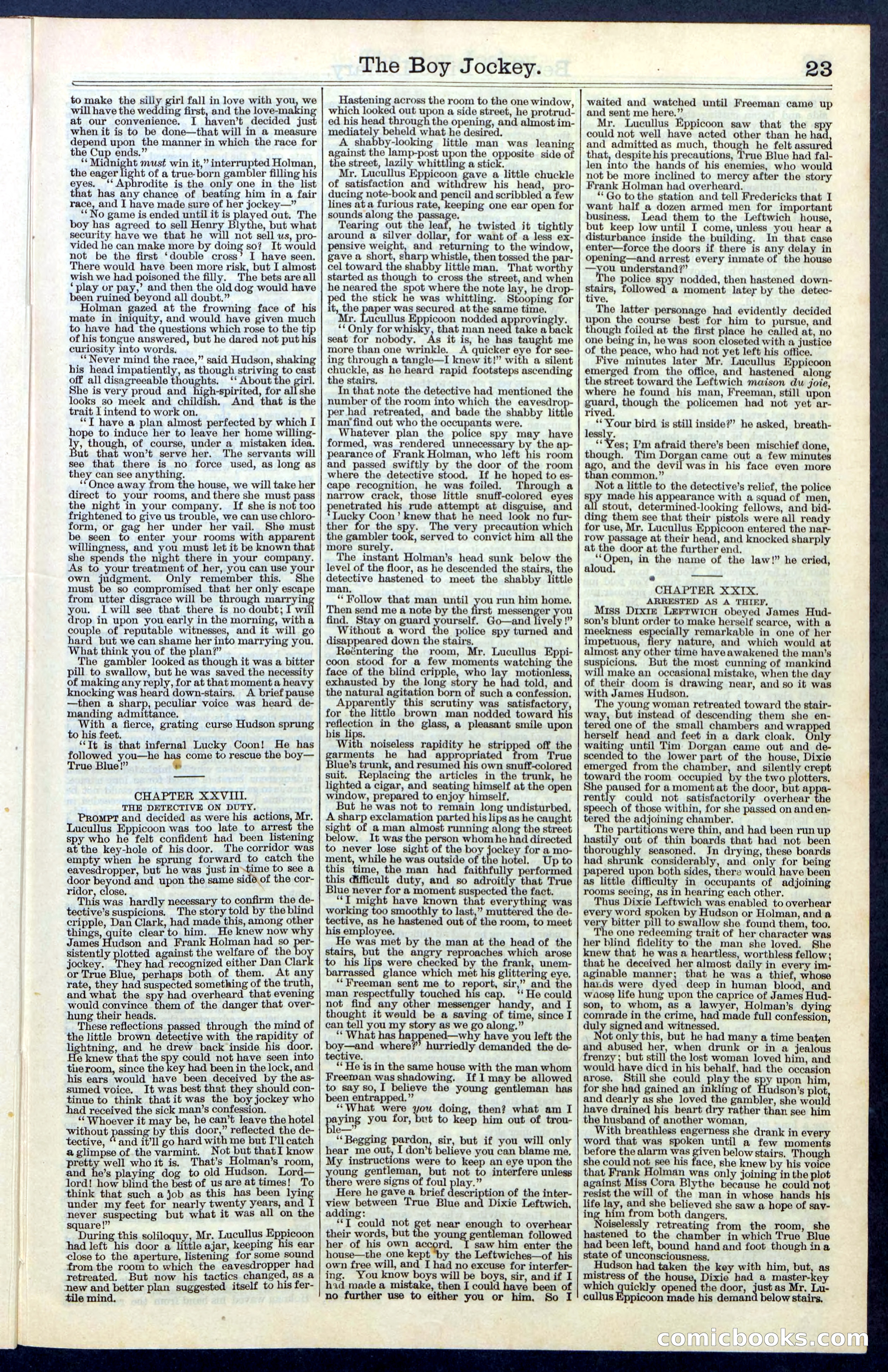 Beadle's New York Dime Library, No. 67 — page 23 of 32