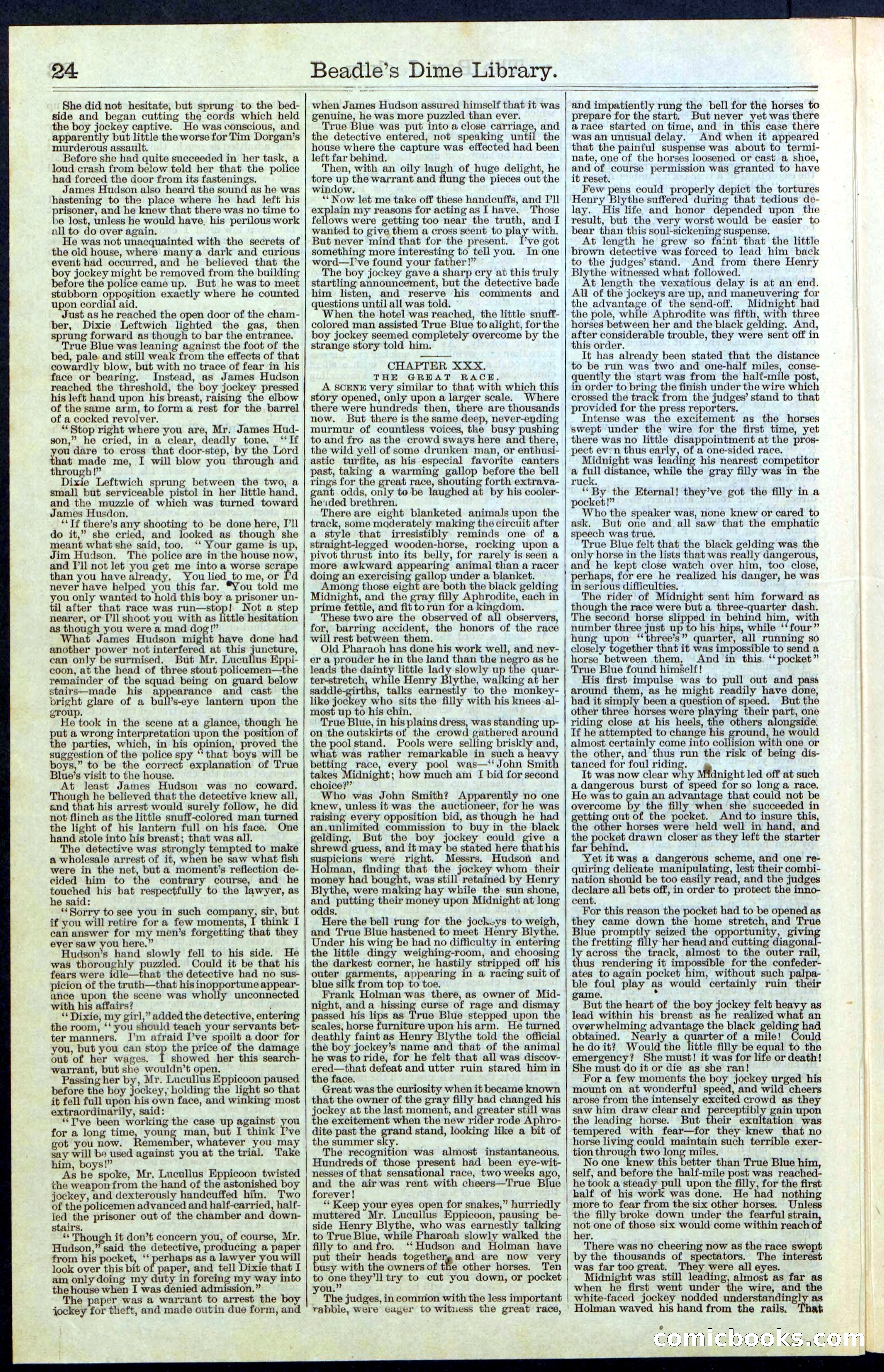 Beadle's New York Dime Library, No. 67 — page 24 of 32