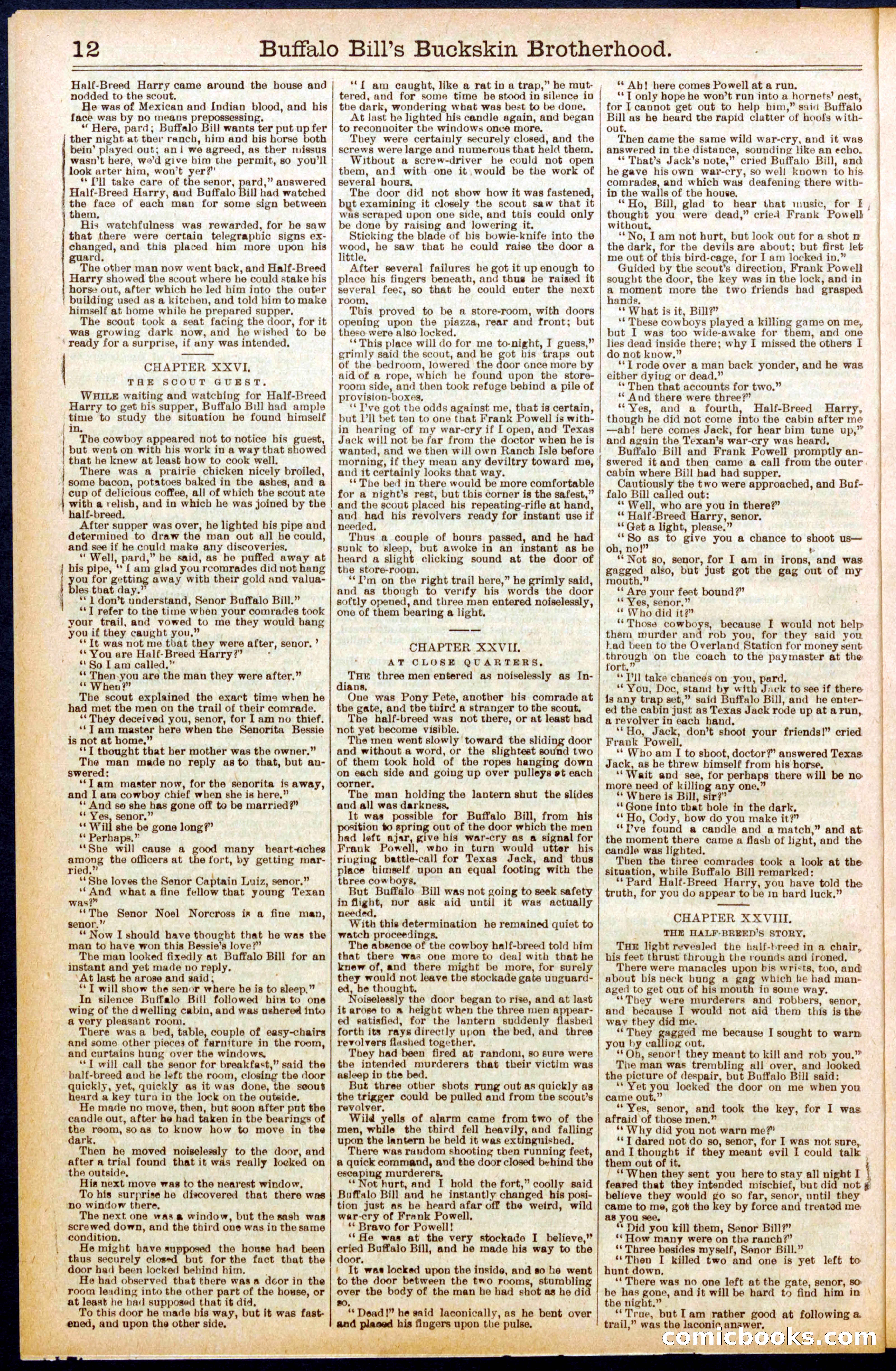 Beadle's Dime Library No. 697 — page 12 of 32