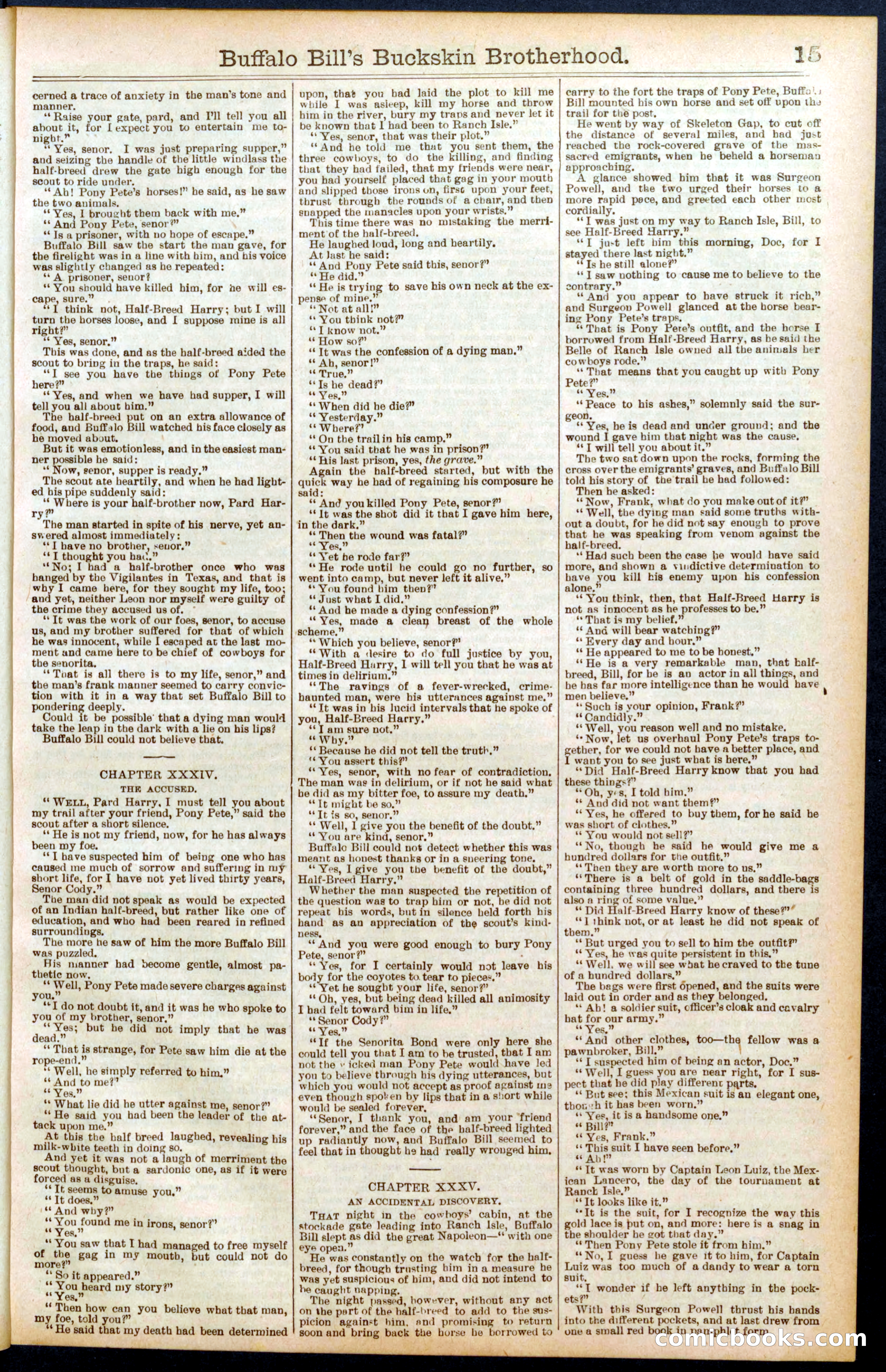 Beadle's Dime Library No. 697 — page 15 of 32