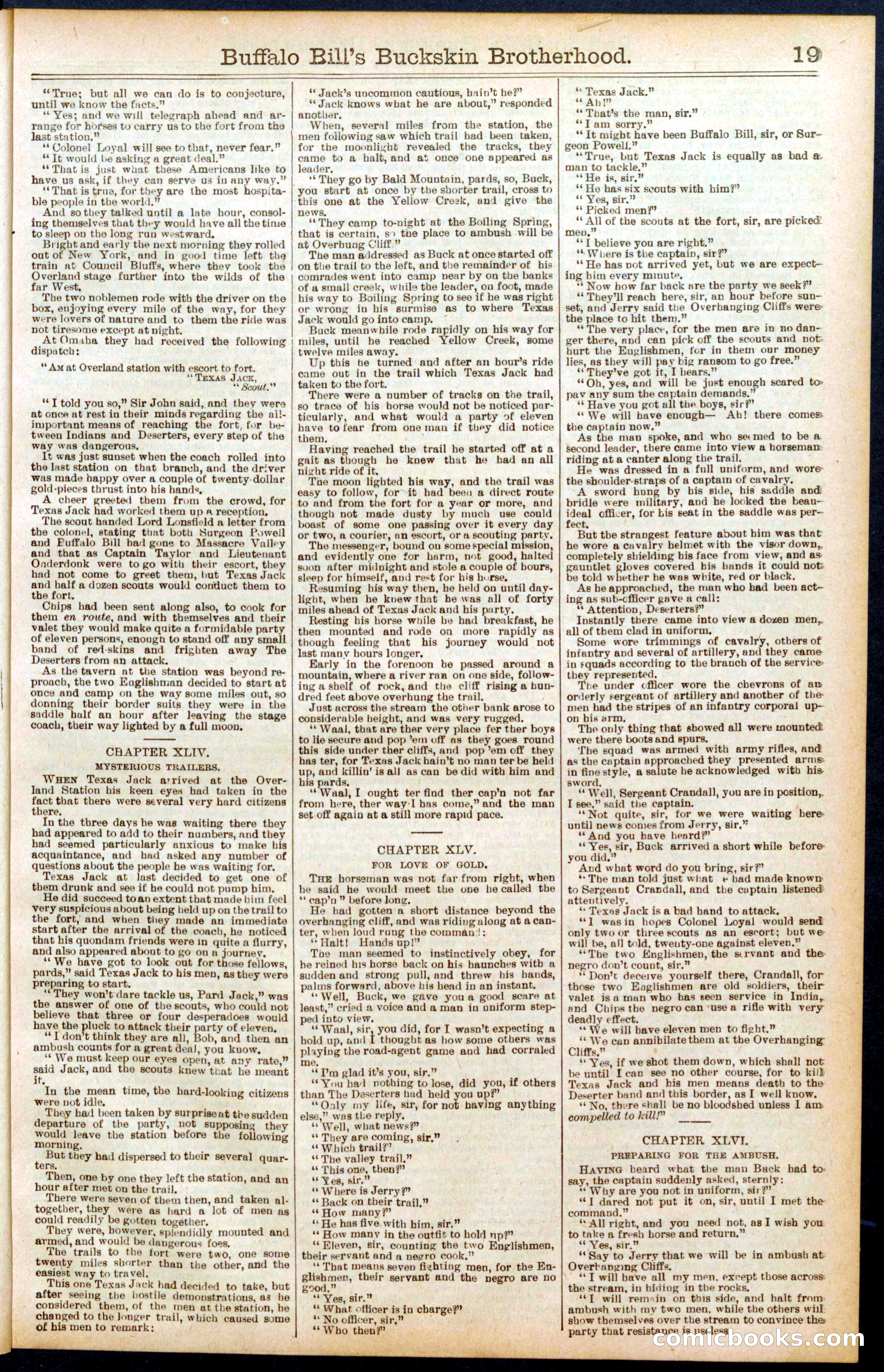 Beadle's Dime Library No. 697 — page 19 of 32