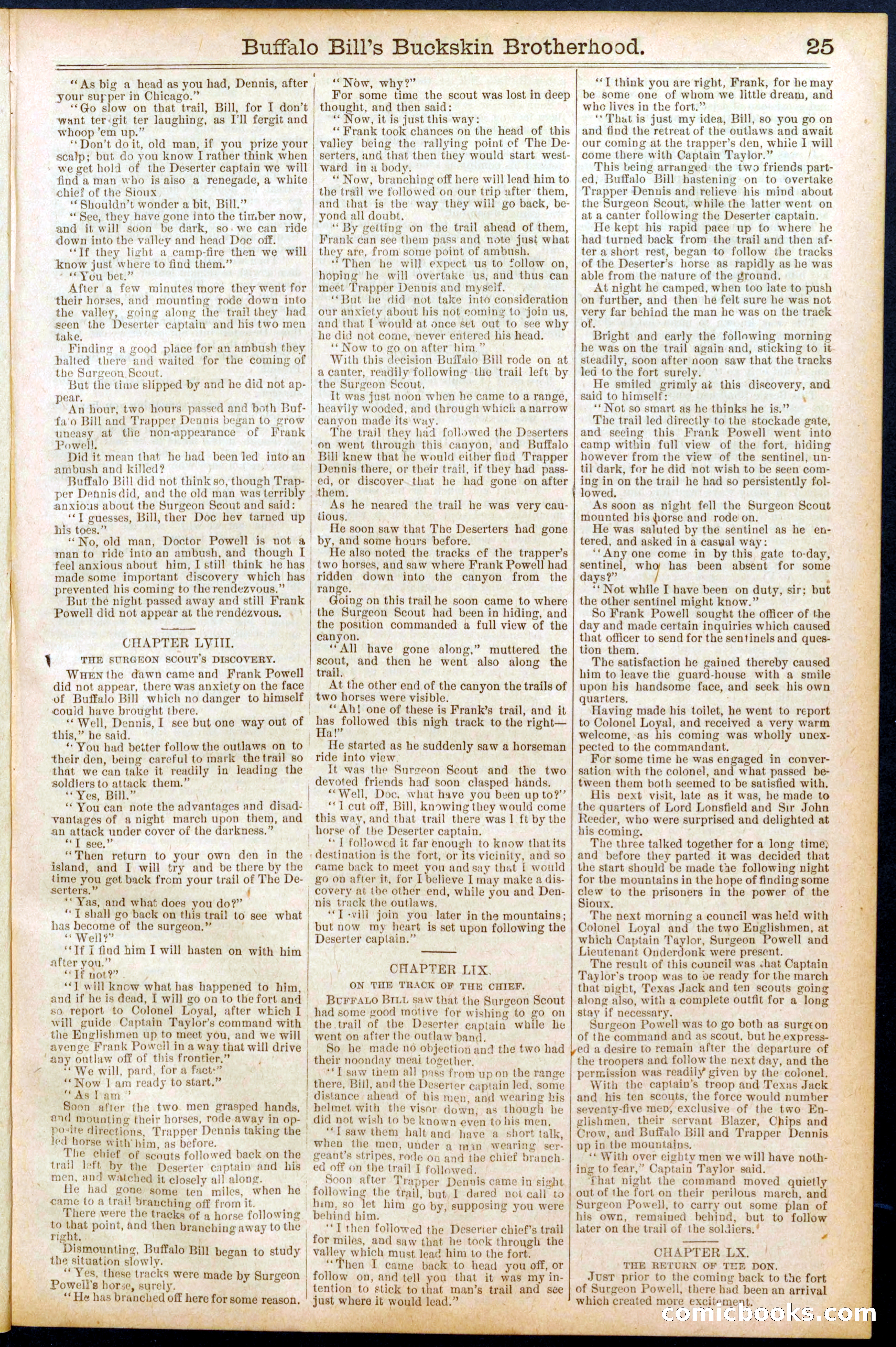 Beadle's Dime Library No. 697 — page 25 of 32