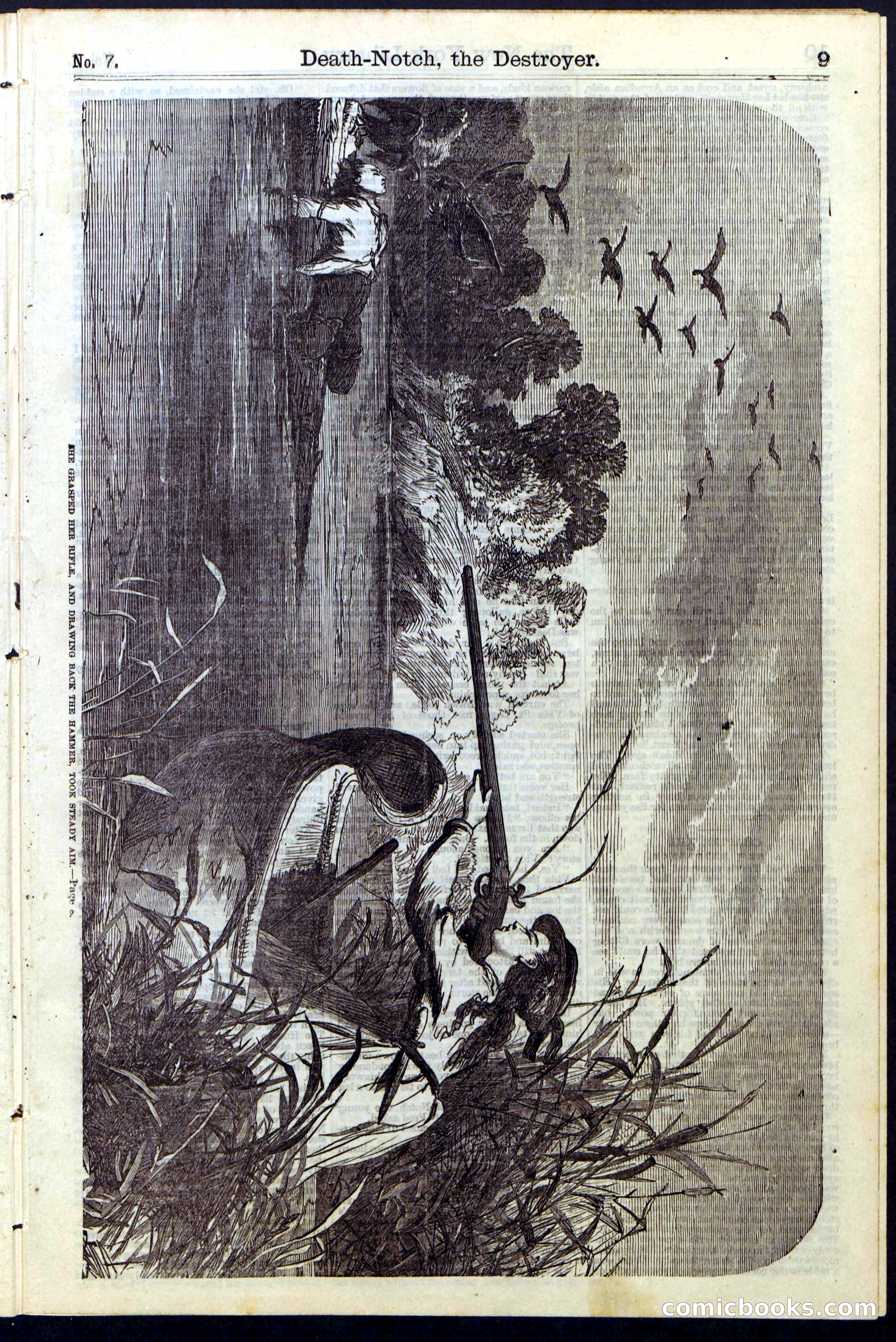 Beadle's New York Dime Library No. 7 — page 9 of 28