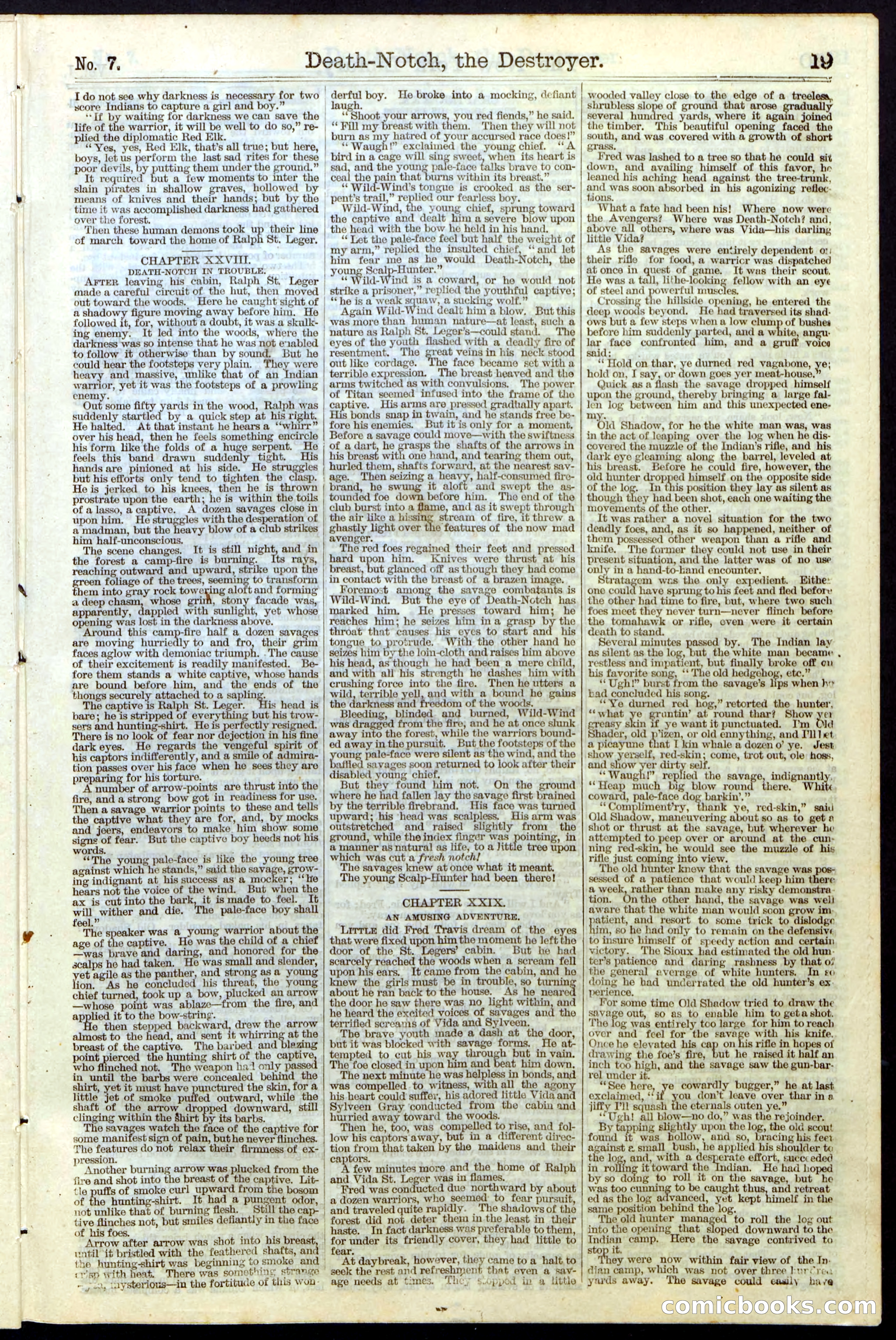 Beadle's New York Dime Library No. 7 — page 19 of 28