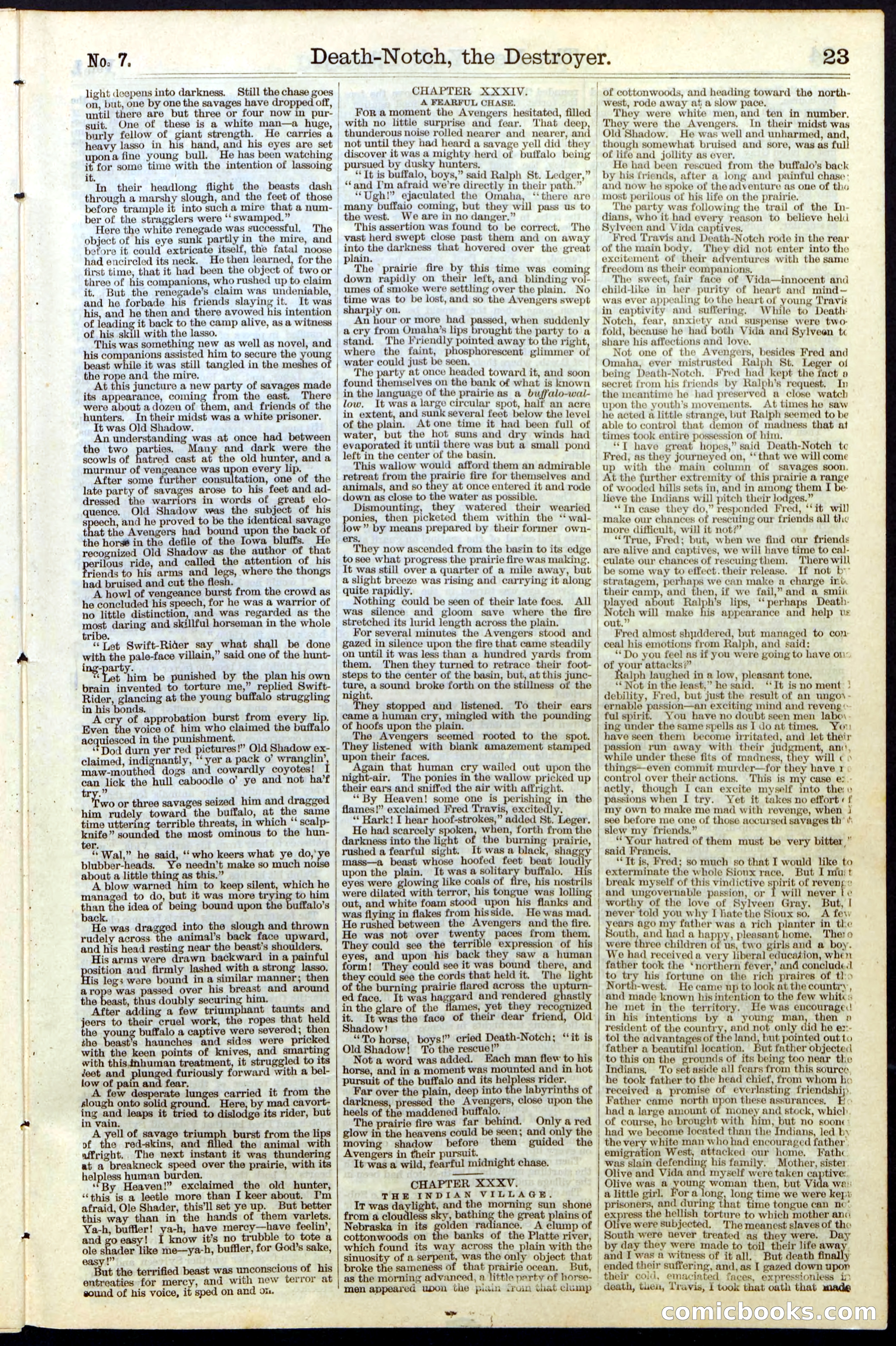 Beadle's New York Dime Library No. 7 — page 23 of 28