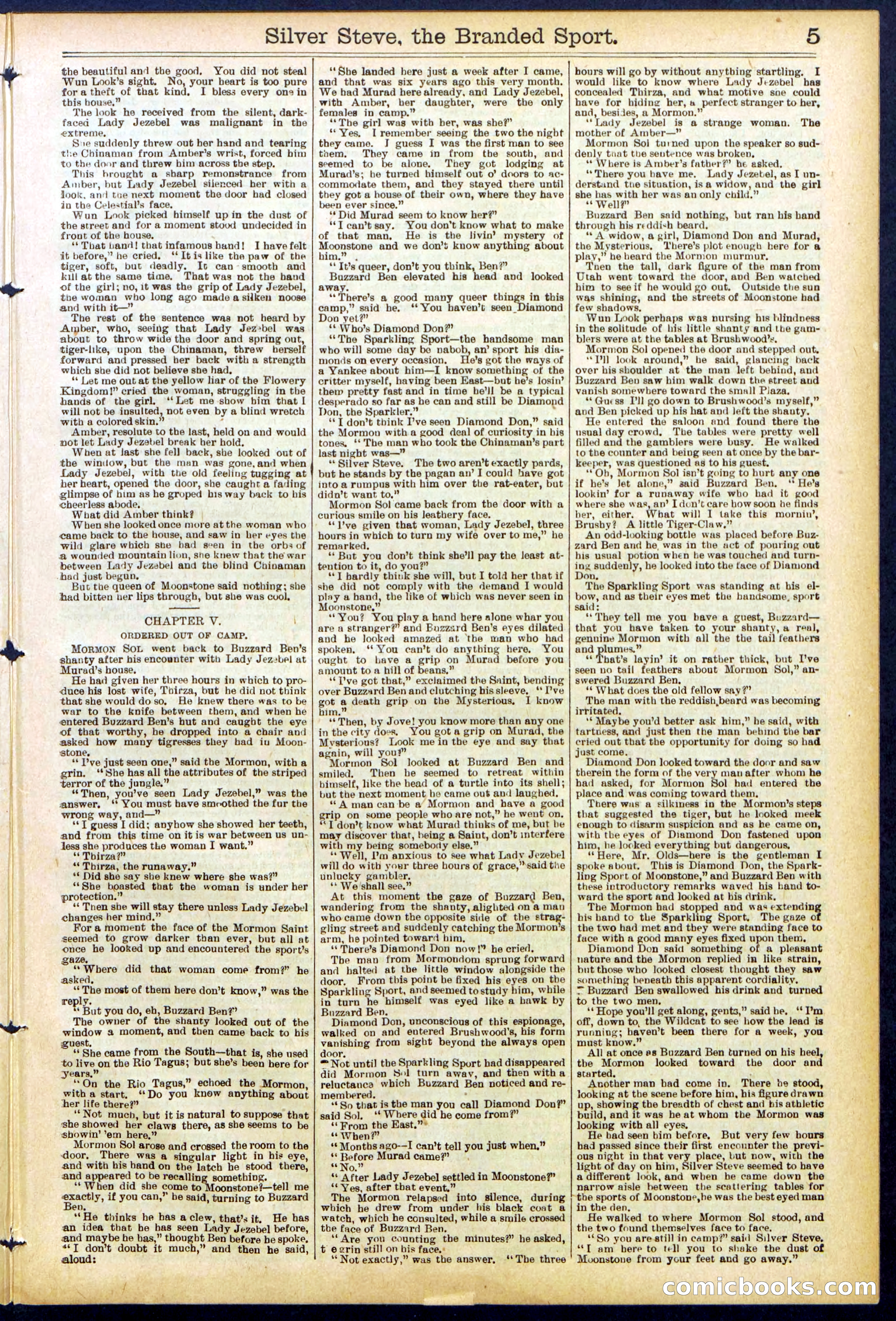 Beadle's New York Dime Library No. 701 — page 5 of 32