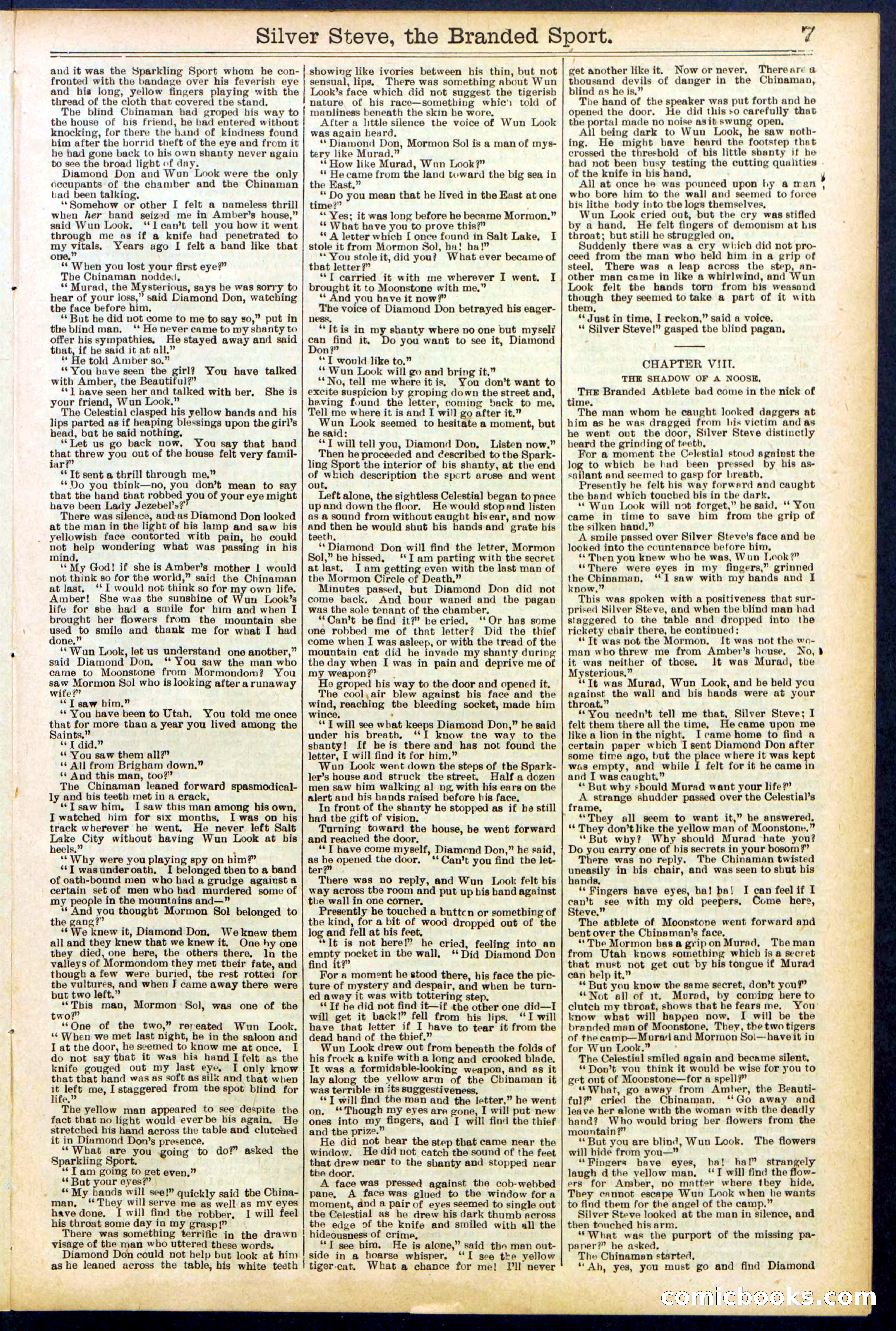 Beadle's New York Dime Library No. 701 — page 7 of 32