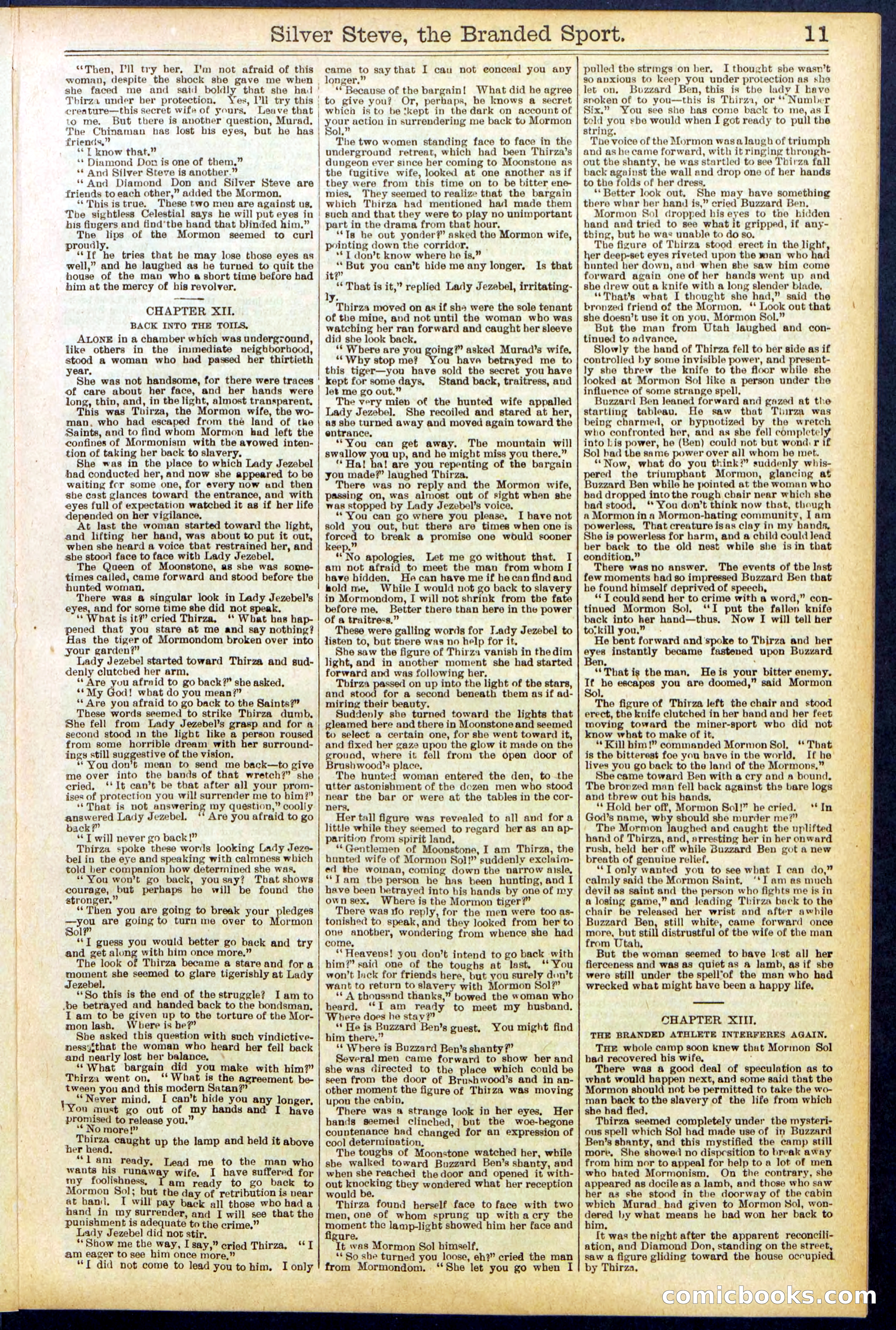 Beadle's New York Dime Library No. 701 — page 11 of 32