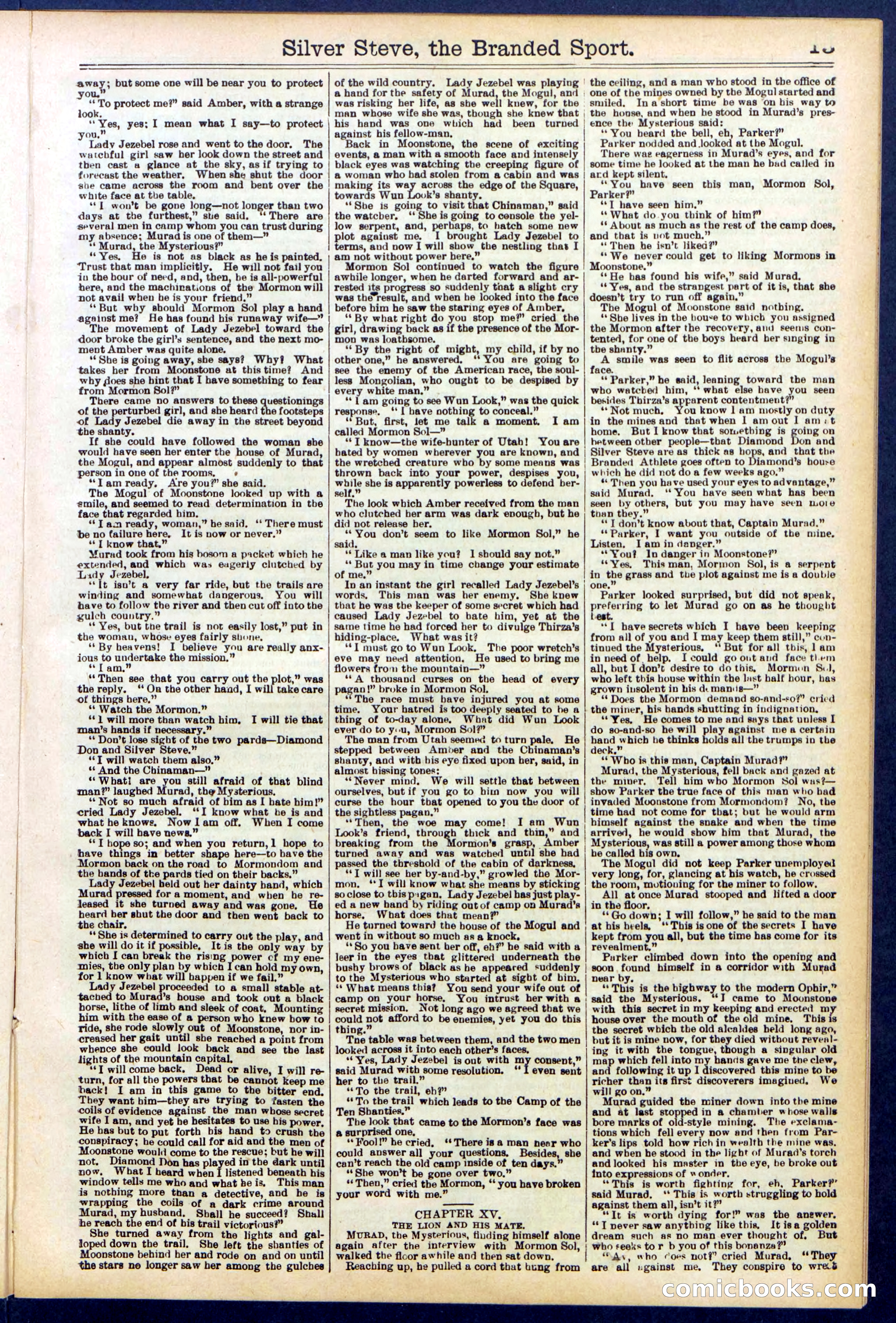 Beadle's New York Dime Library No. 701 — page 13 of 32