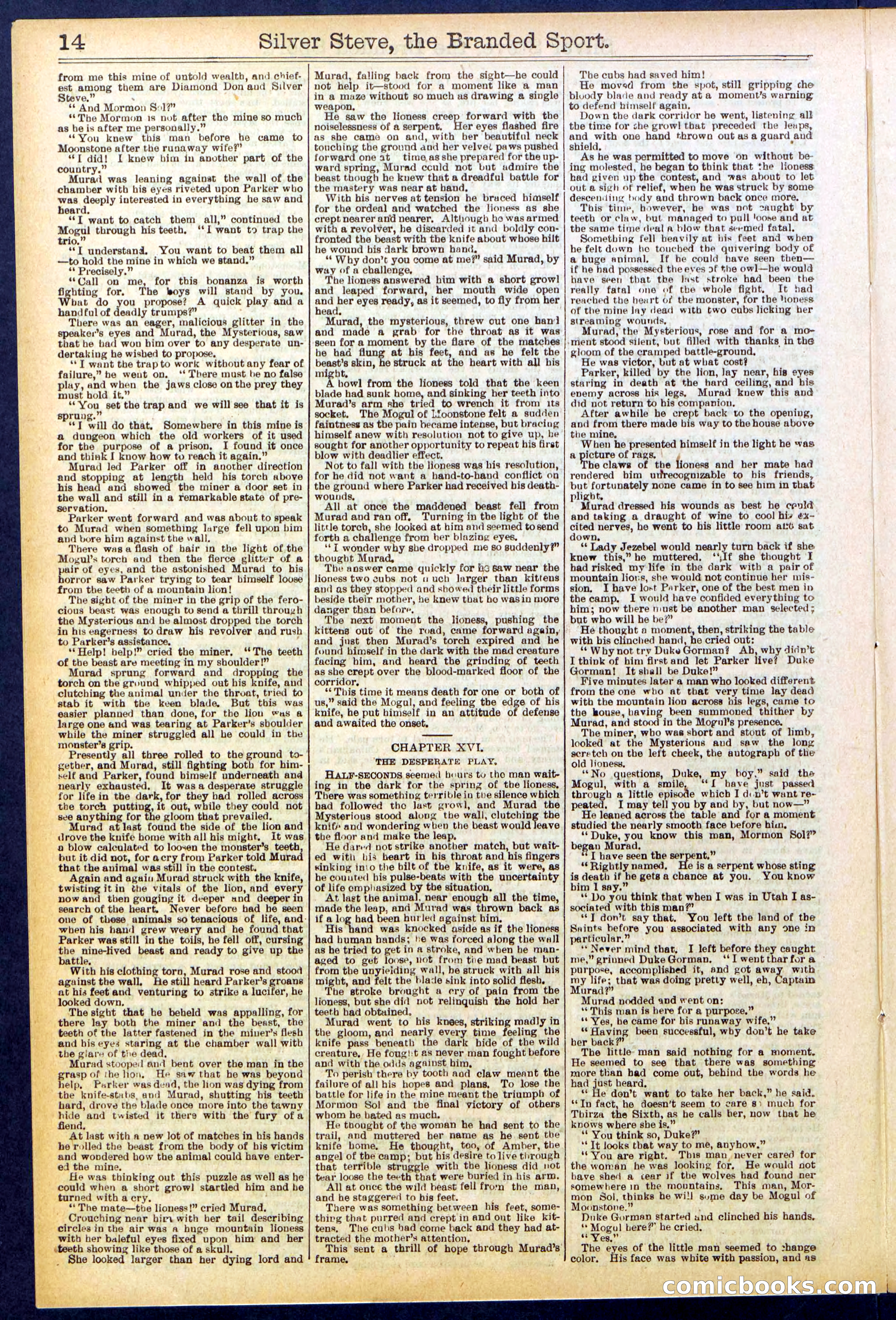 Beadle's New York Dime Library No. 701 — page 14 of 32